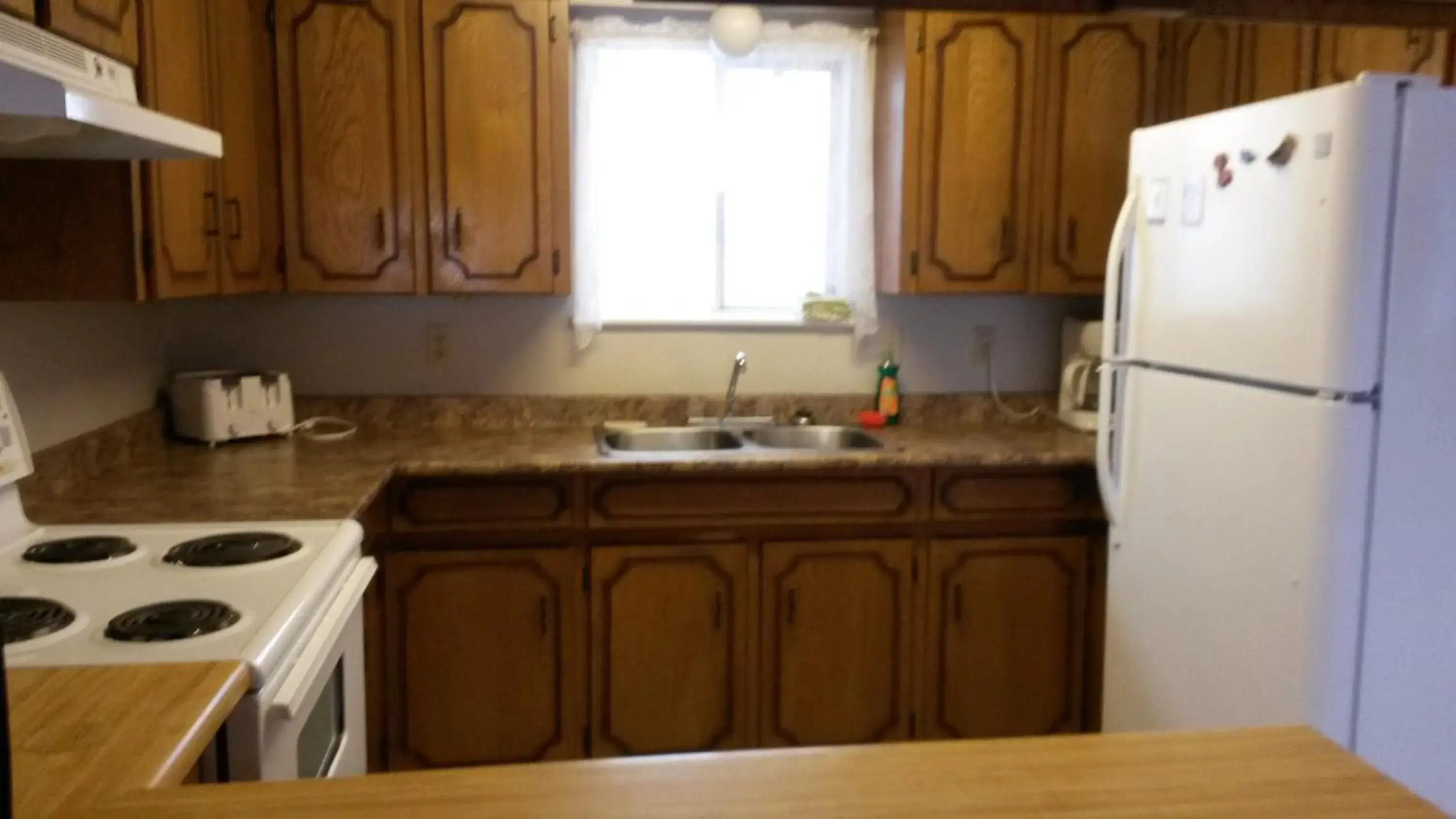 Kitchen/Kitchenette in Lakeside Motel