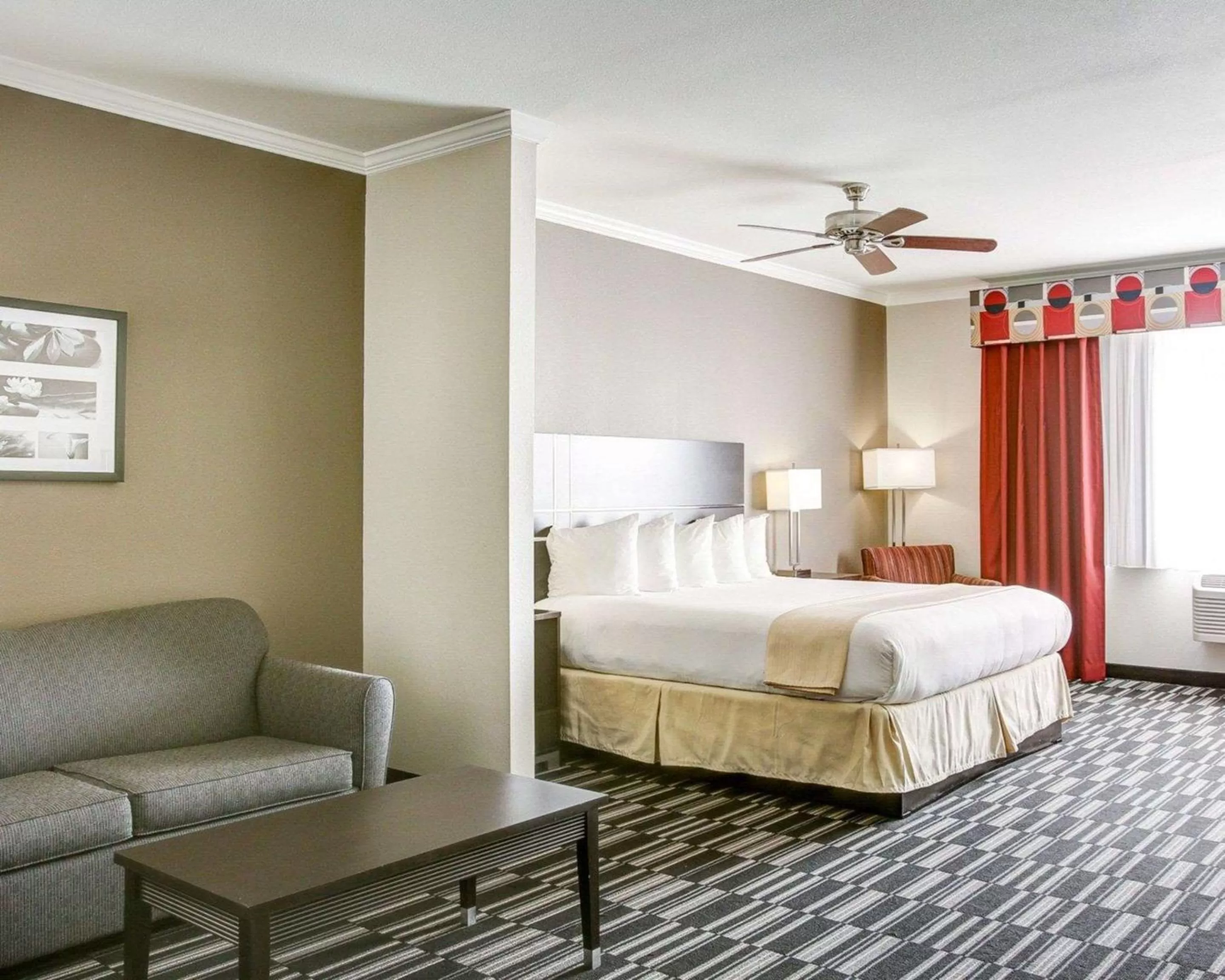 Photo of the whole room, Bed in Quality Inn & Suites Bryan-College Station