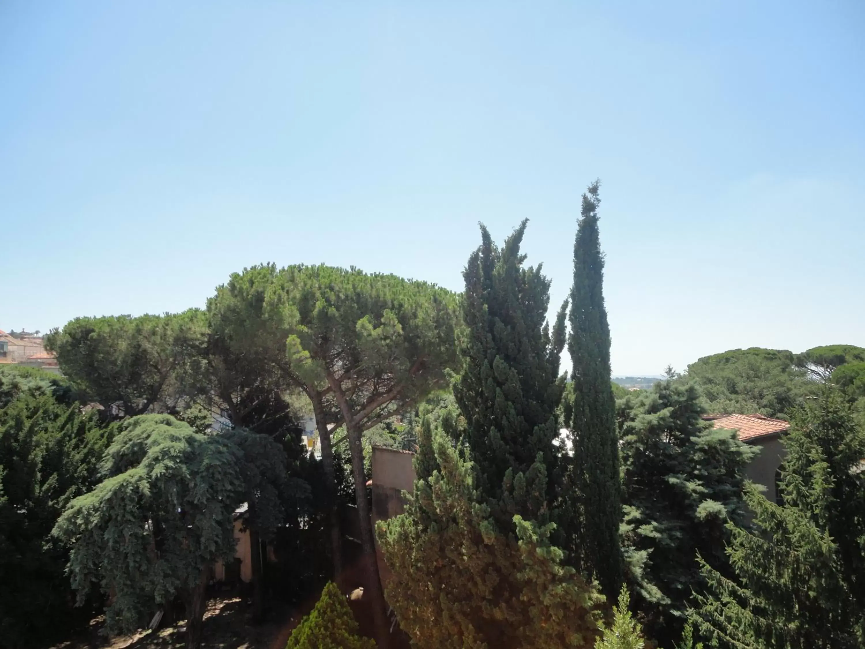 View (from property/room) in Villa Altieri