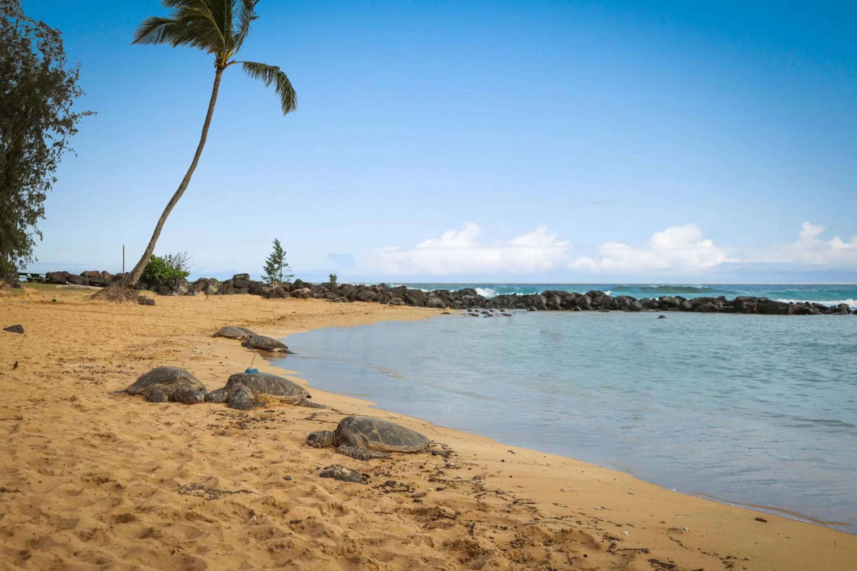 Day in Aston At Poipu Kai