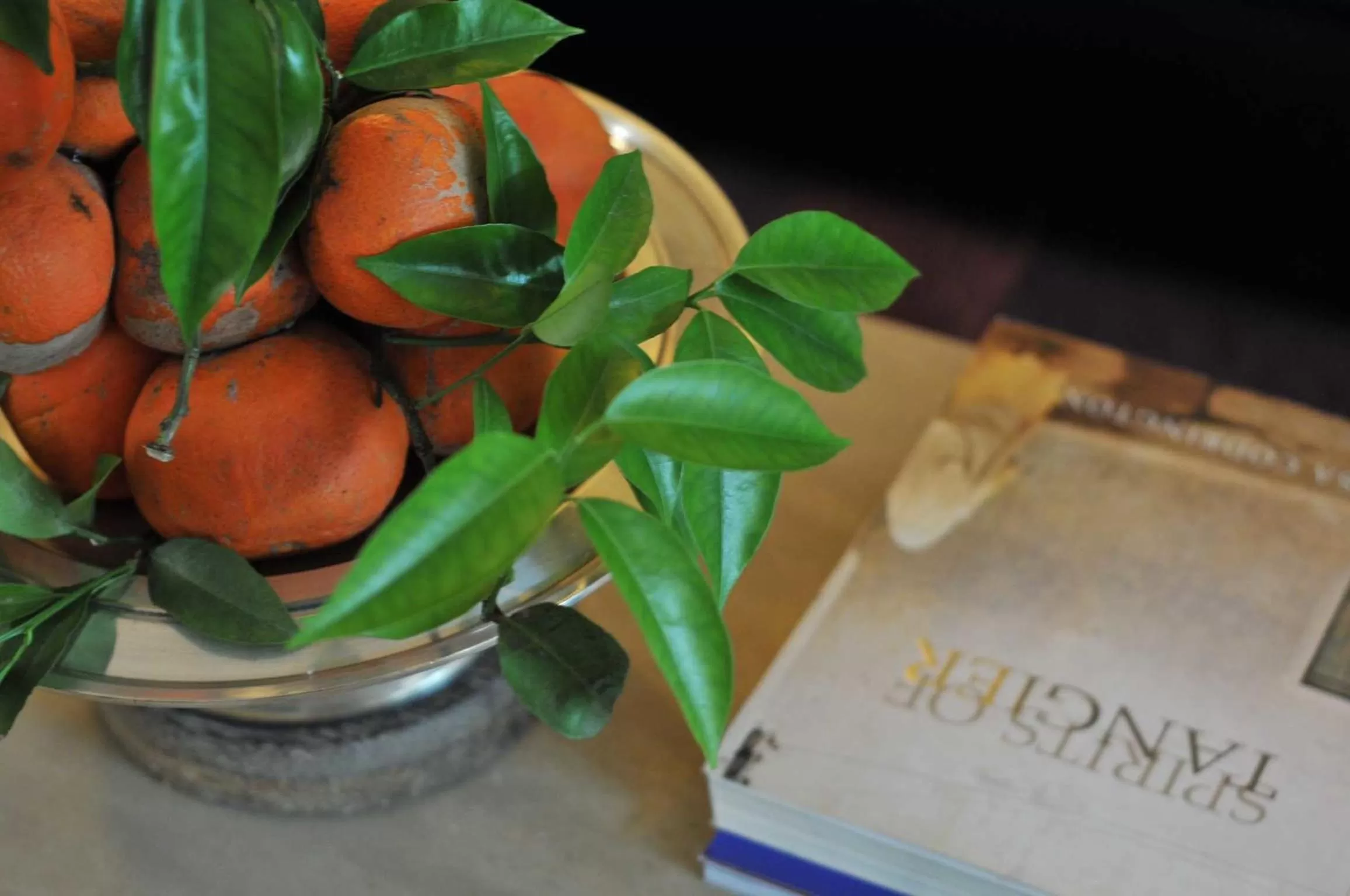 Decorative detail in La Maison de Tanger