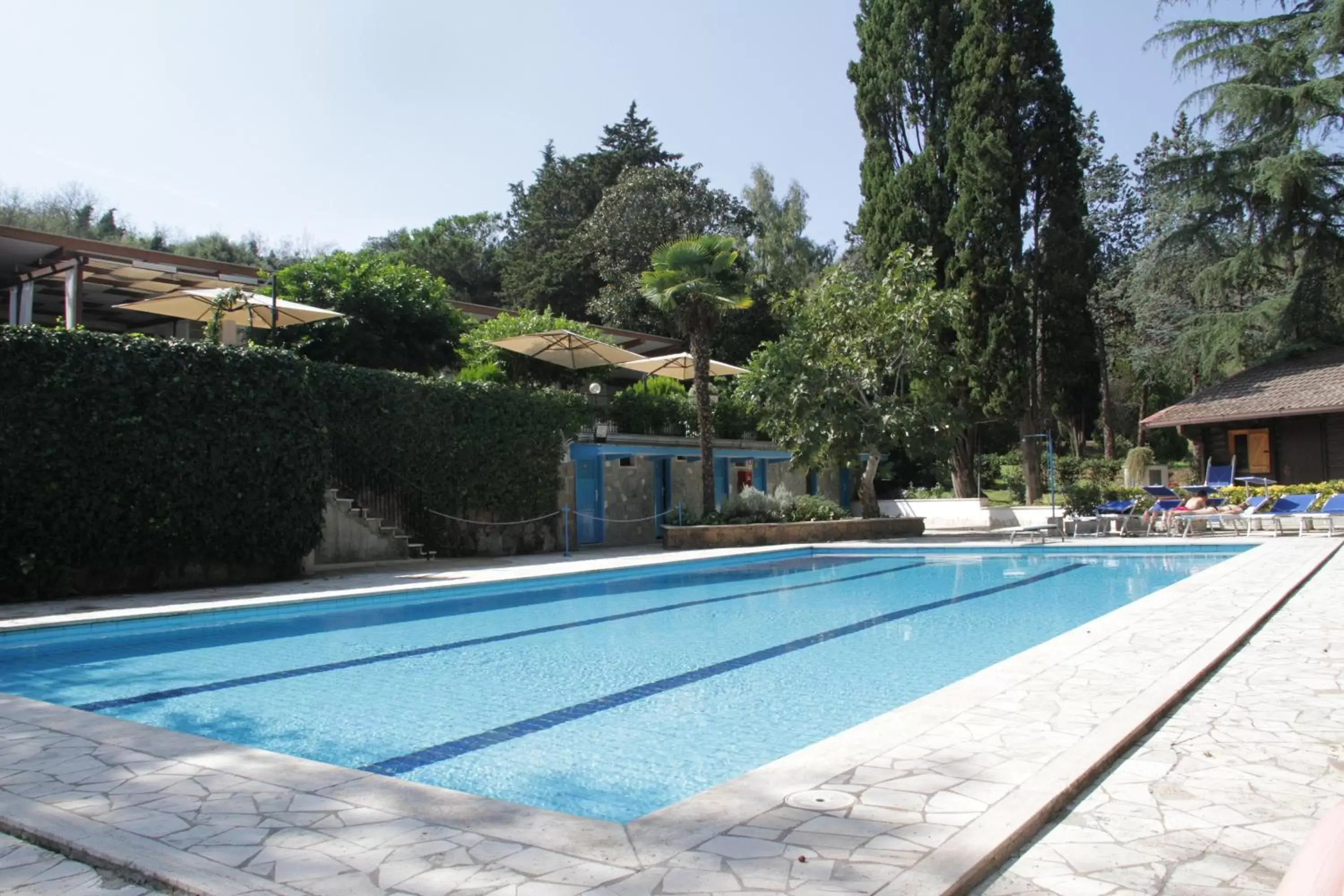 Patio, Swimming Pool in Hotel Boomerang Roma