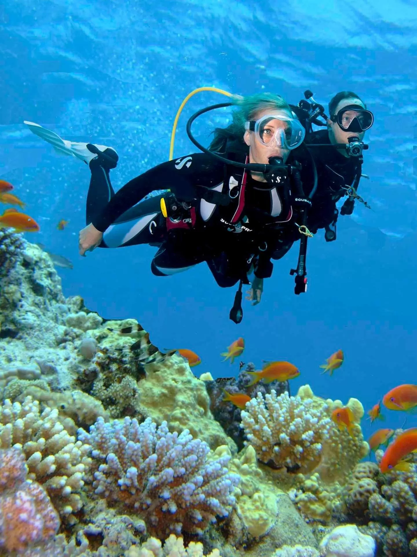 Beach in Steigenberger Aldau Beach Hotel