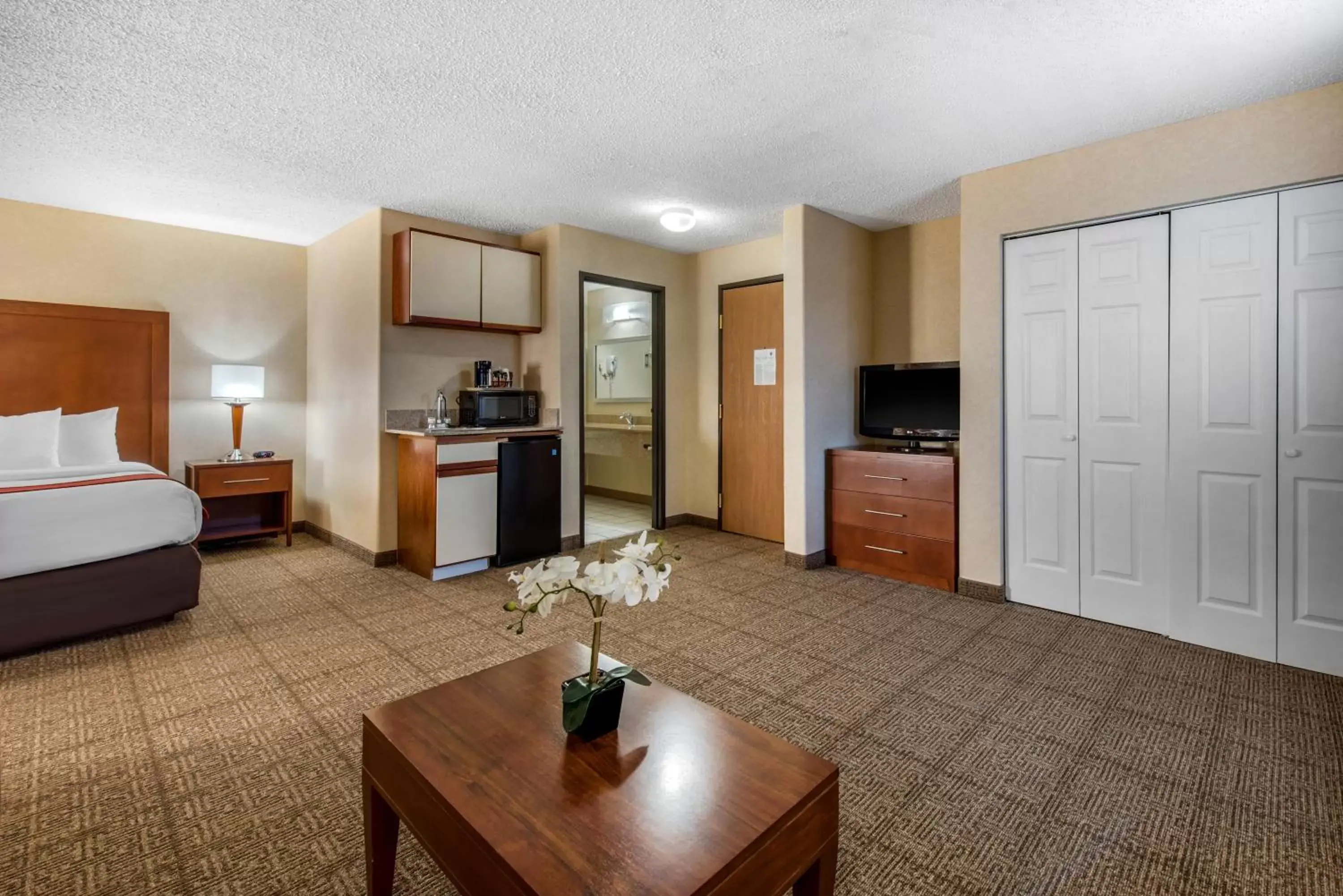 TV and multimedia, Seating Area in Comfort Inn Denver Southeast