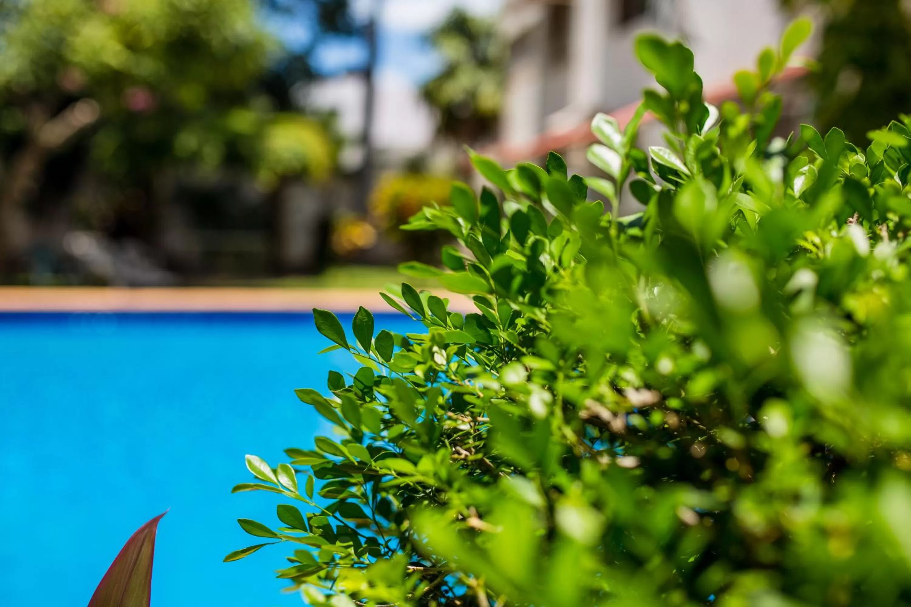 Swimming pool in Casa Blanca Boutique & Organic