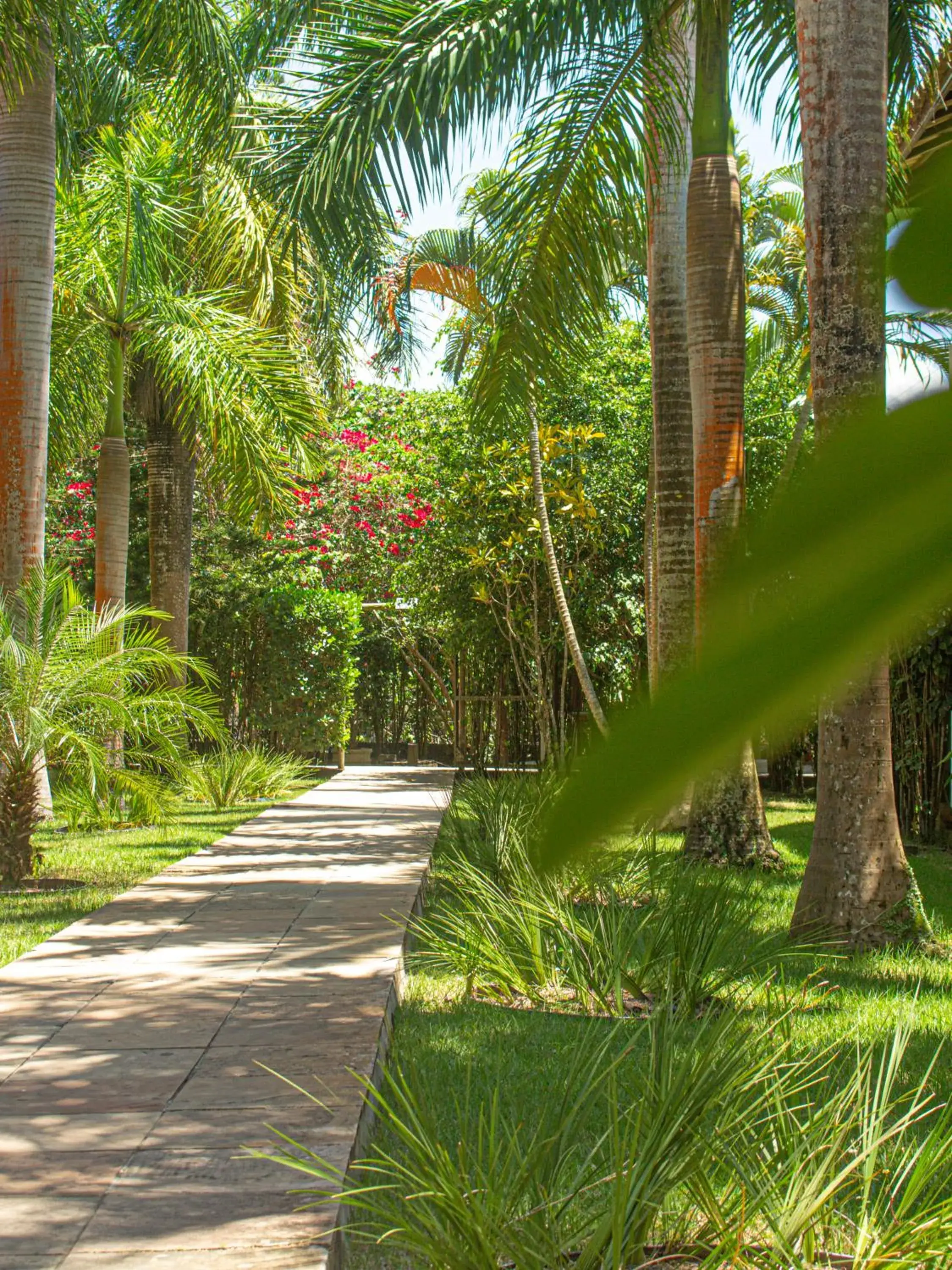 Garden in Sunshine Praia Hotel