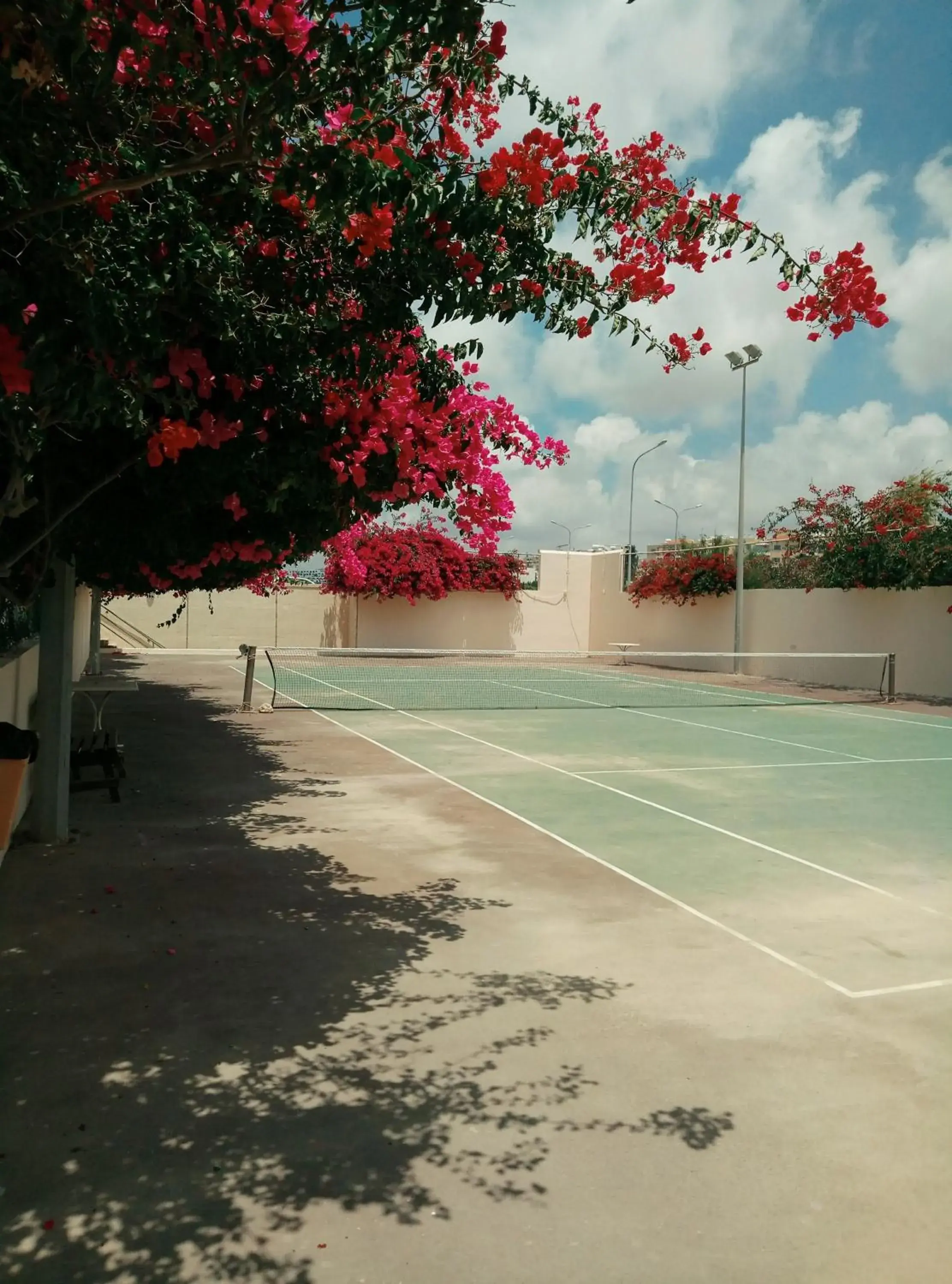 Tennis court in Venus Beach Hotel