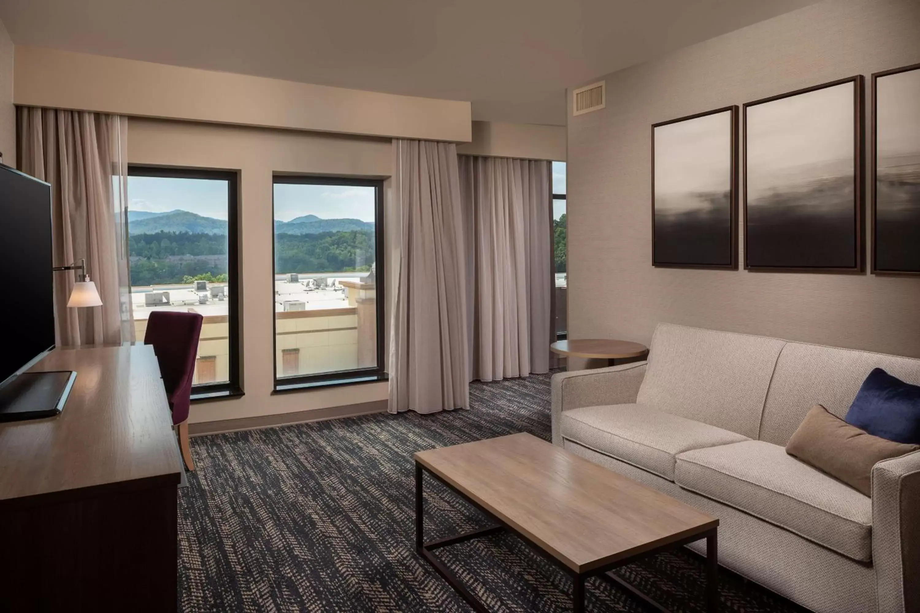 King Jr Suite - Non-Smoking in Hilton Asheville Biltmore Park King Jr Suite - Non-Smoking in Hilton Asheville Biltmore Park