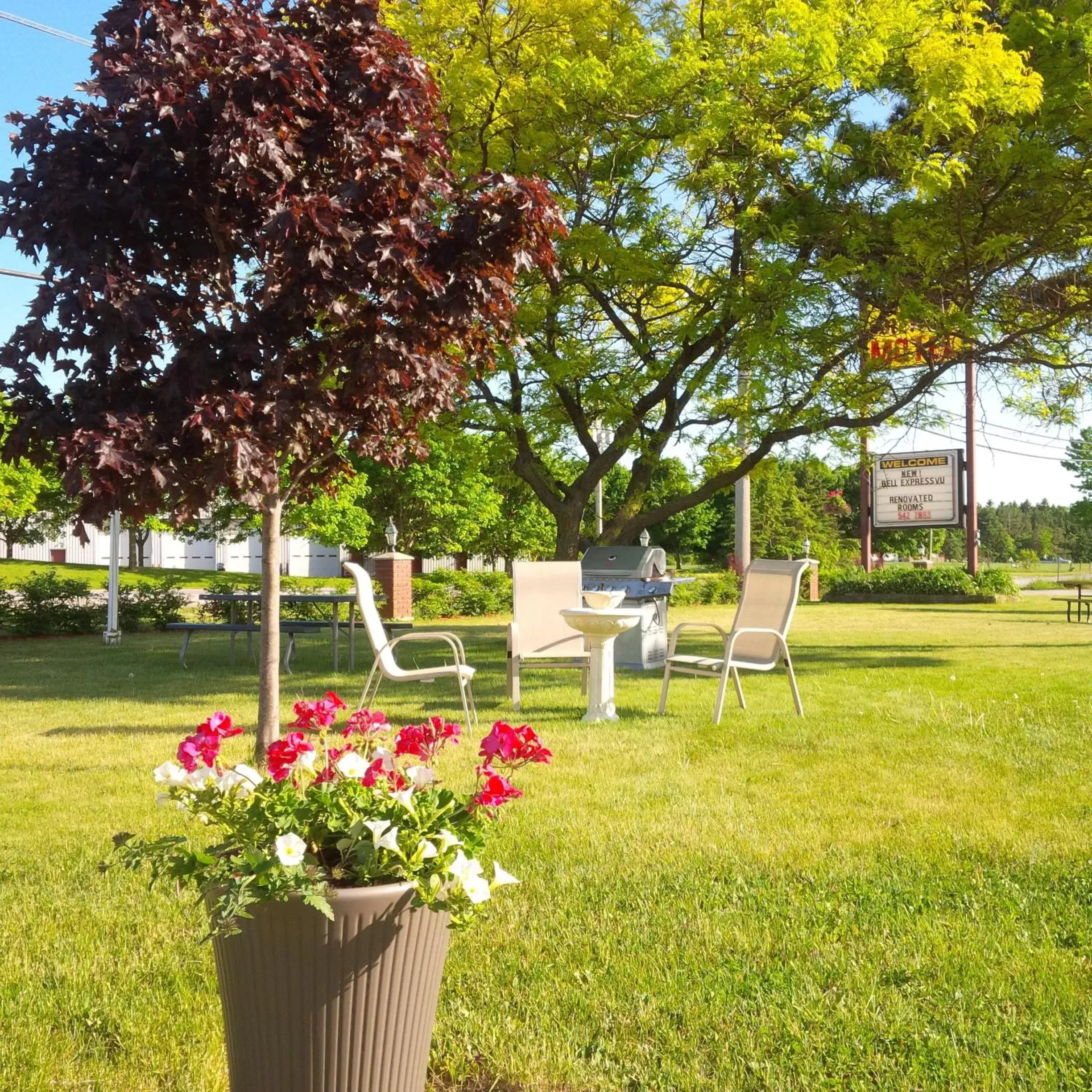 BBQ facilities, Garden in Lord Nelson Motel