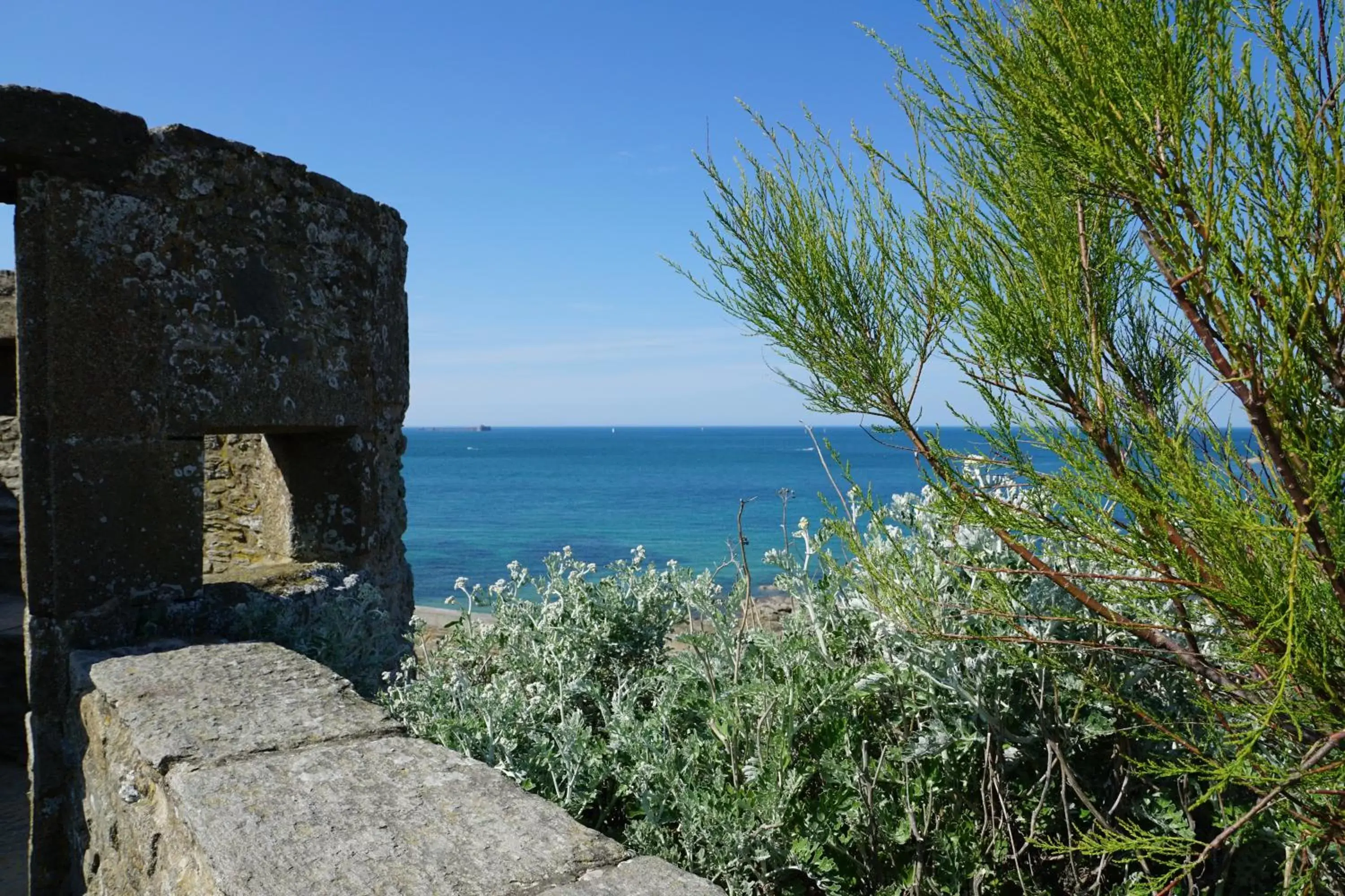 Natural landscape in B&B HOTEL Saint Malo Sud