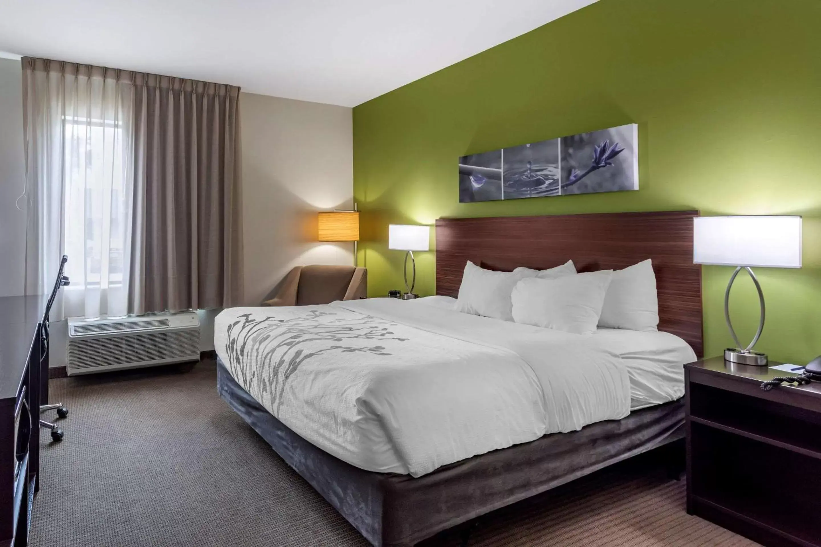 King Room - Accessible/Non-Smoking in Sleep Inn Bowling Green North King Room - Accessible/Non-Smoking in Sleep Inn Bowling Green North