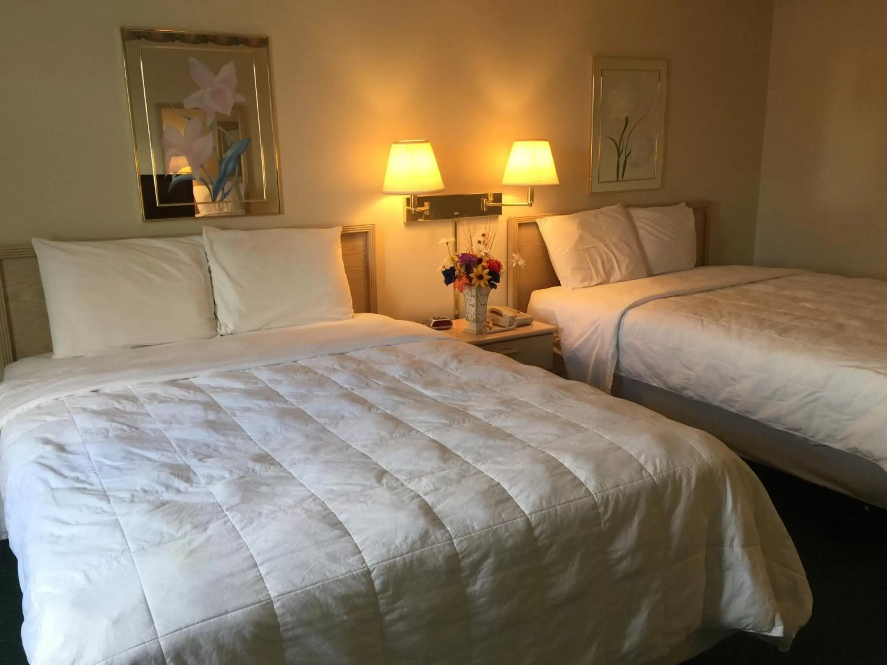 Bedroom, Bed in Americas Best Value Inn & Suites - Bluffton