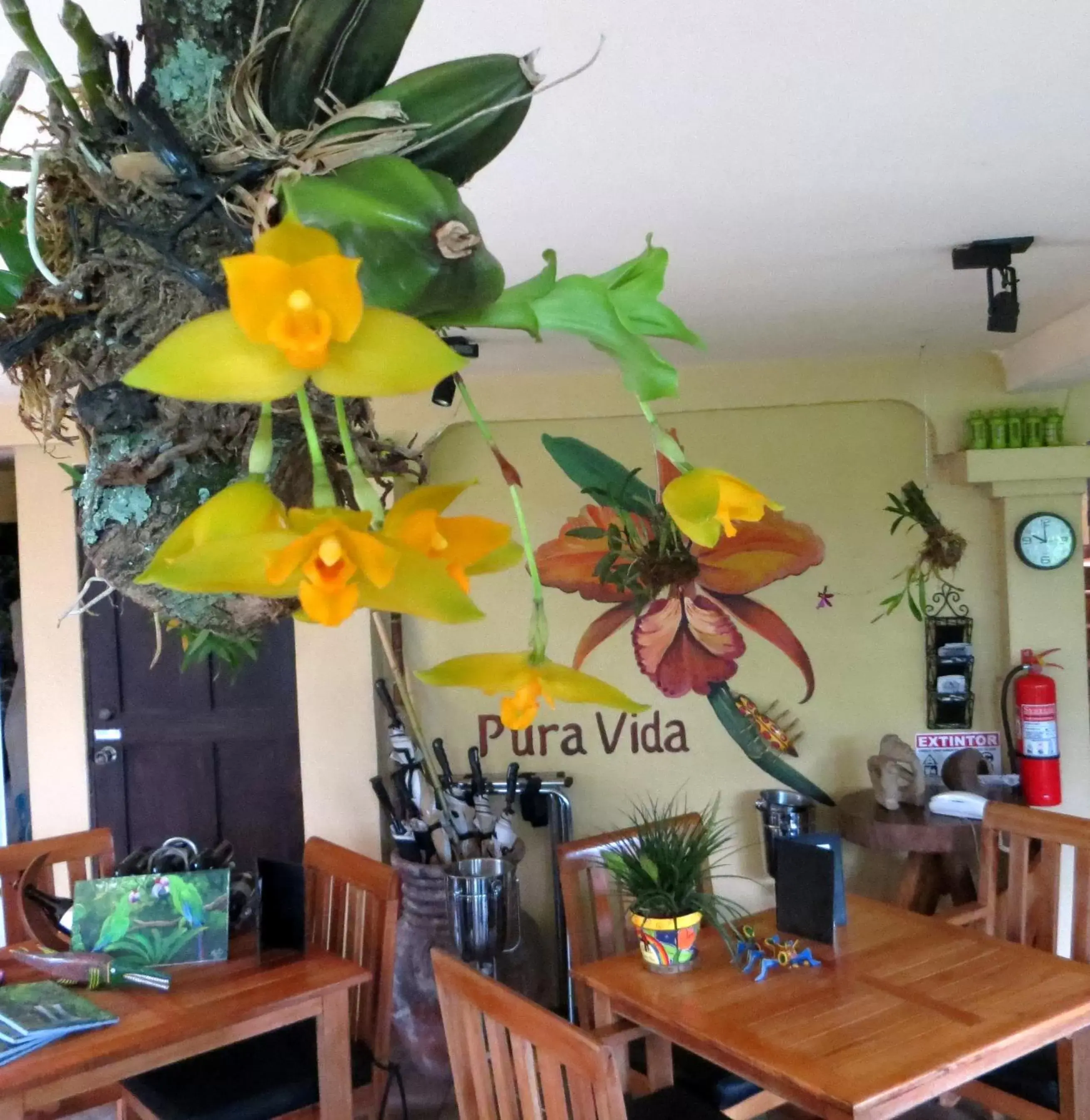 Pura Vida Hotel