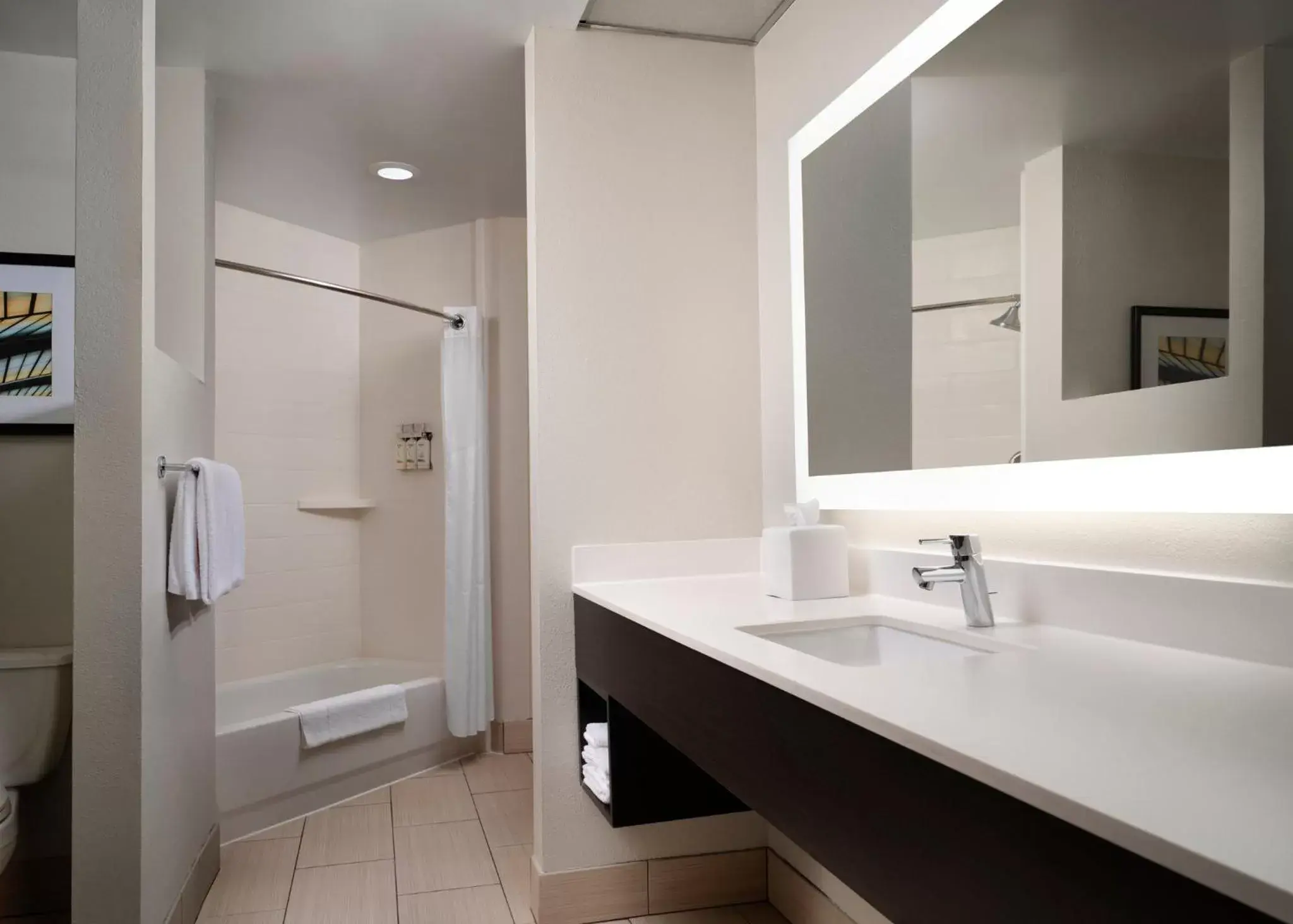 Bathroom in Holiday Inn Express and Suites New Orleans Airport, an IHG Hotel