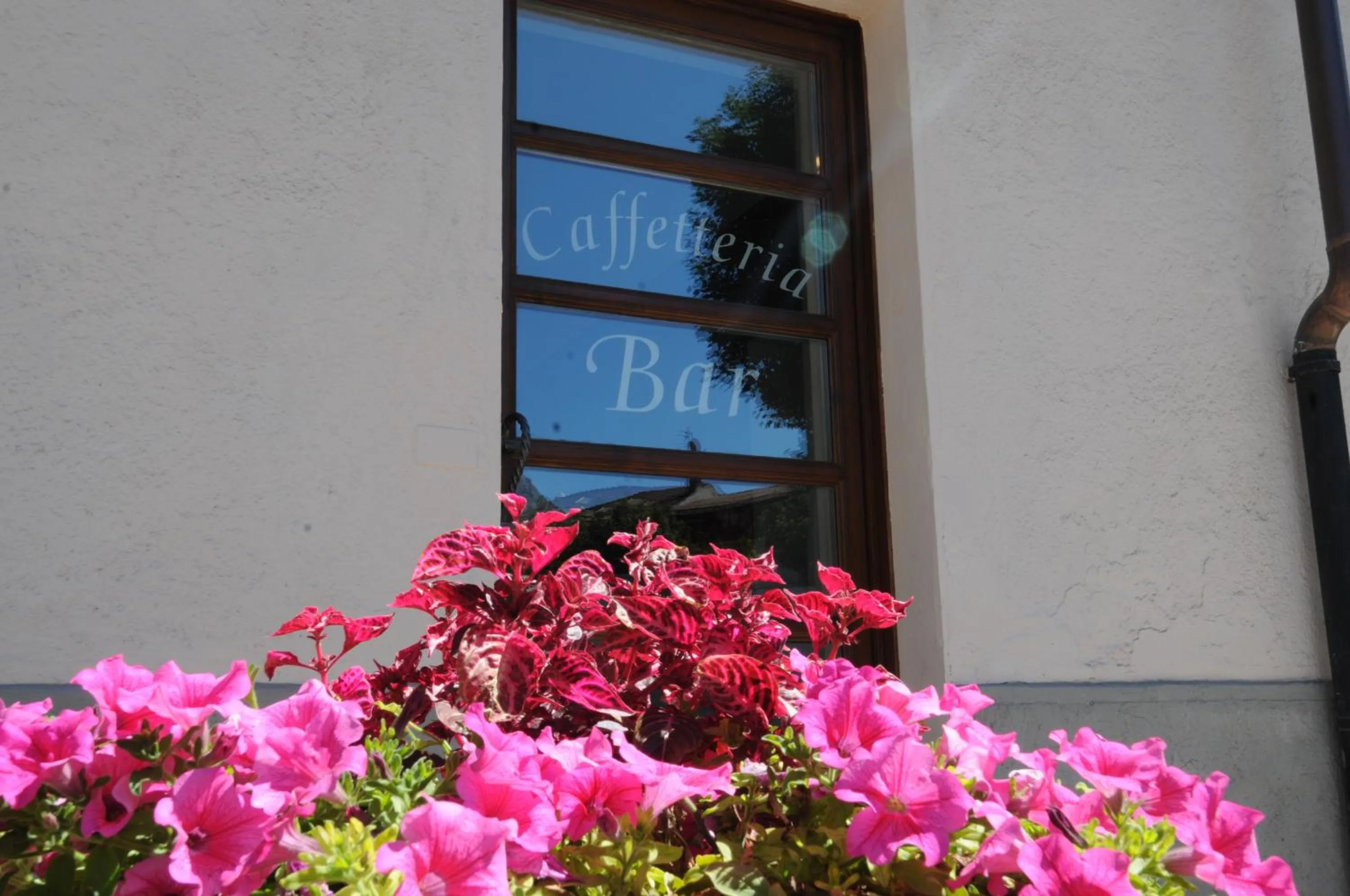 Lounge or bar in Hotel Sommeiller