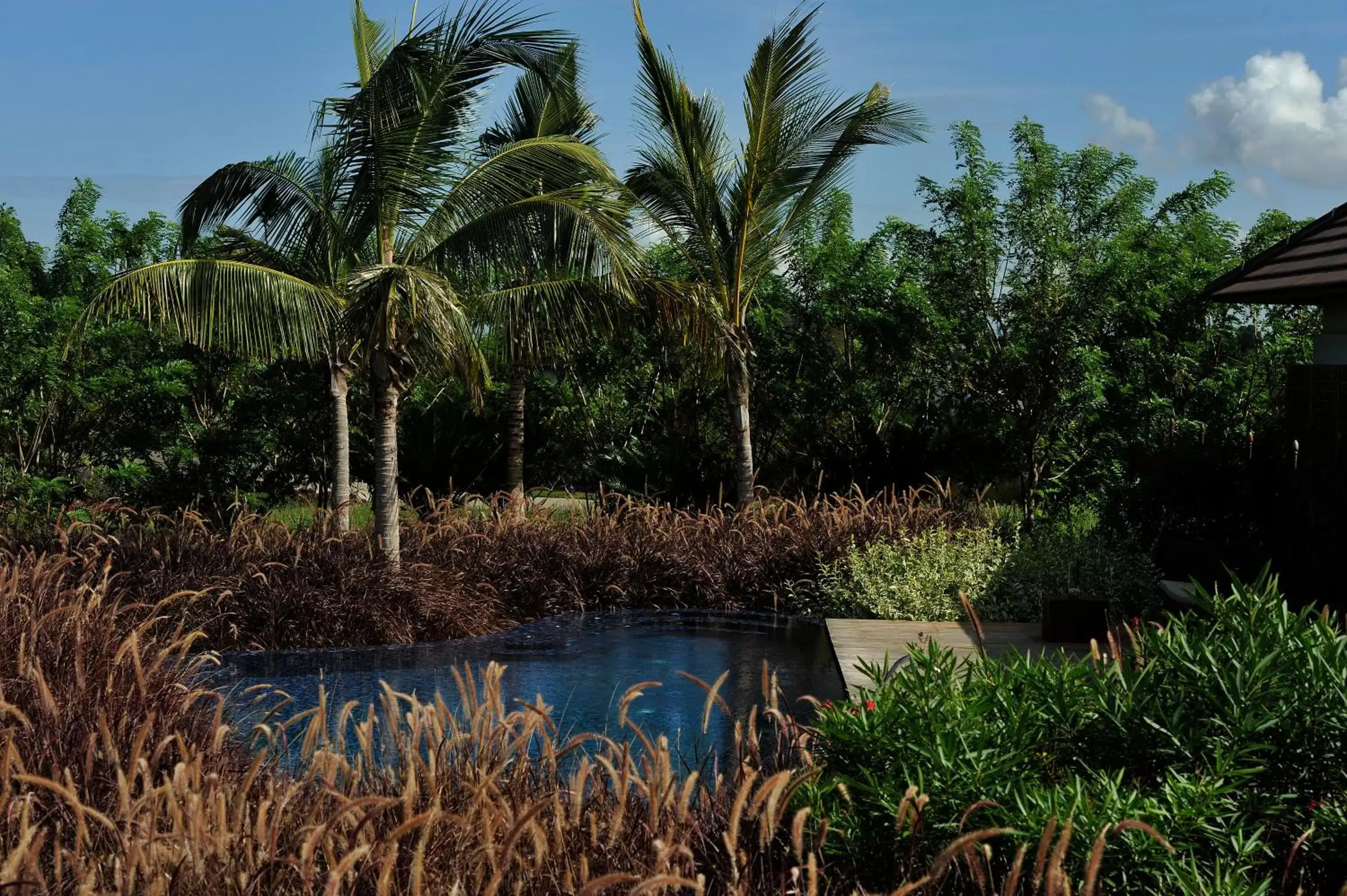 Area and facilities, Swimming Pool in The Residence Zanzibar