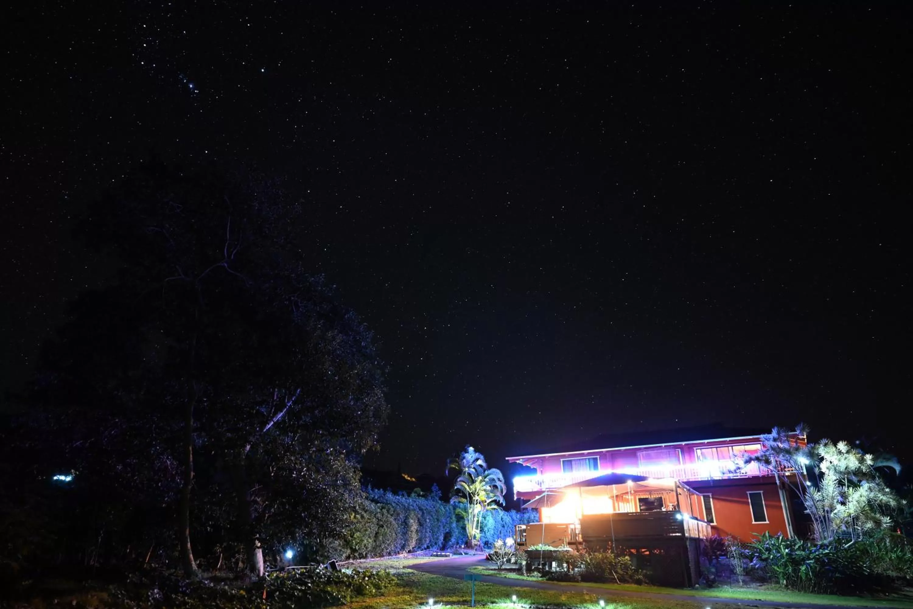 Property Building in Coffee Garden