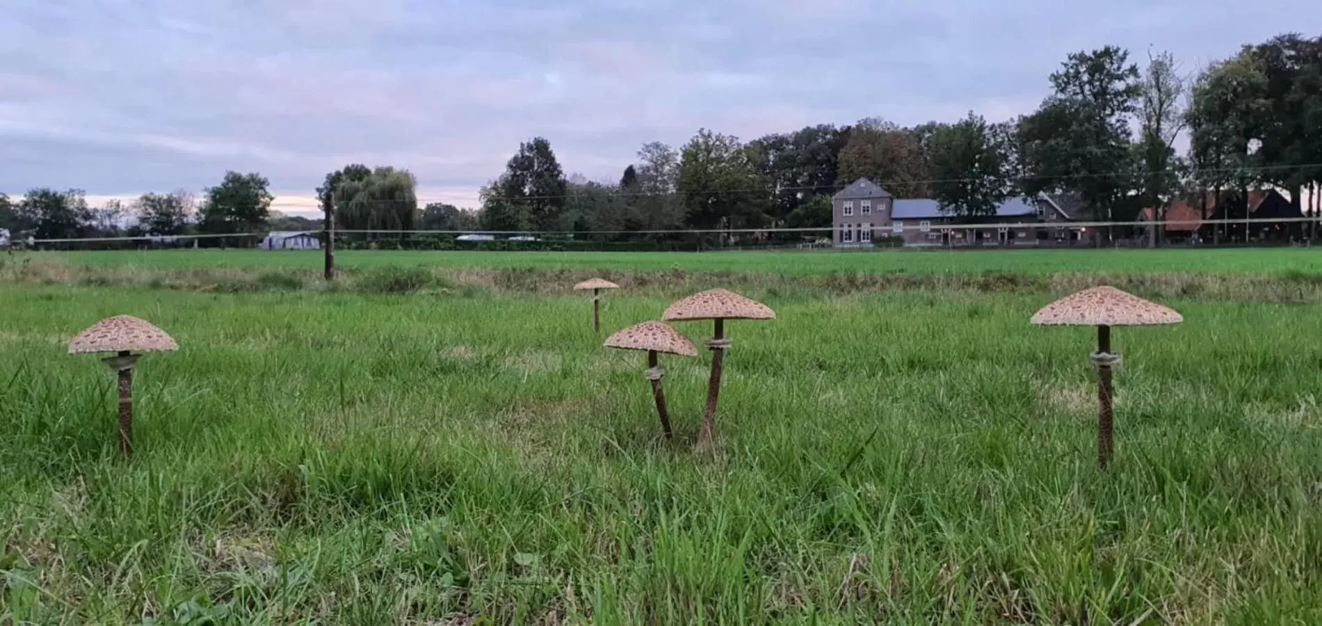 Natural landscape in Hotel Restaurant Roerdinkhof