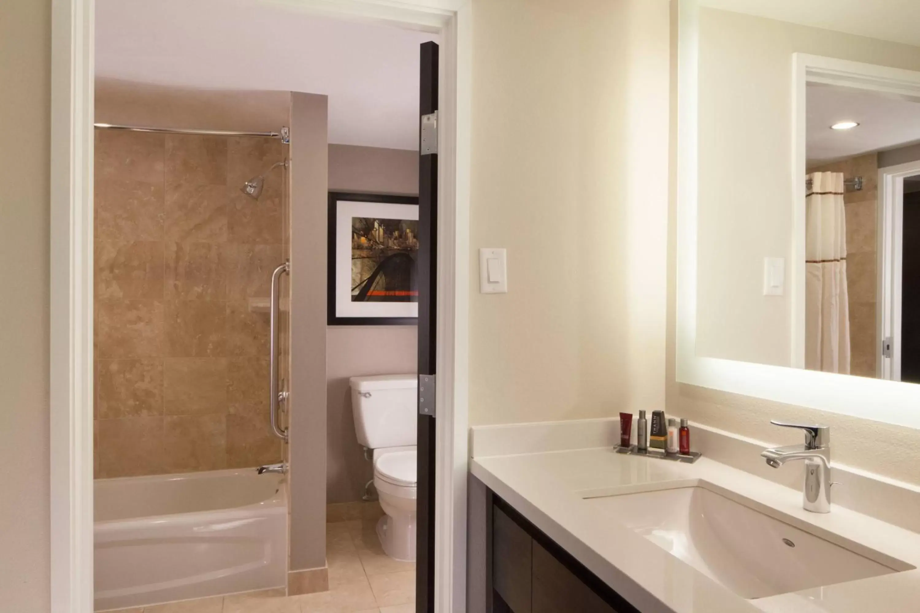 Bathroom in Dallas Marriott Suites Medical/Market Center