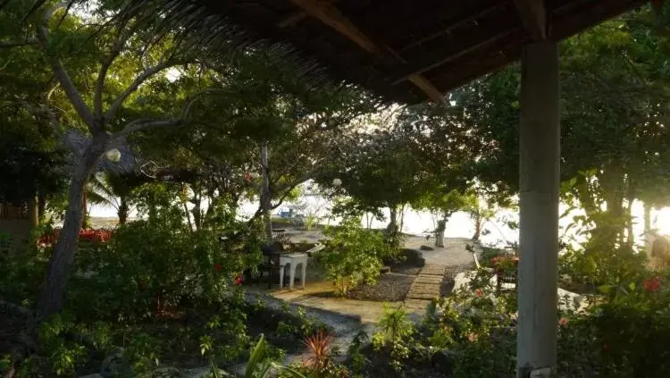Garden view in Moalboal T Breeze Coastal Resort