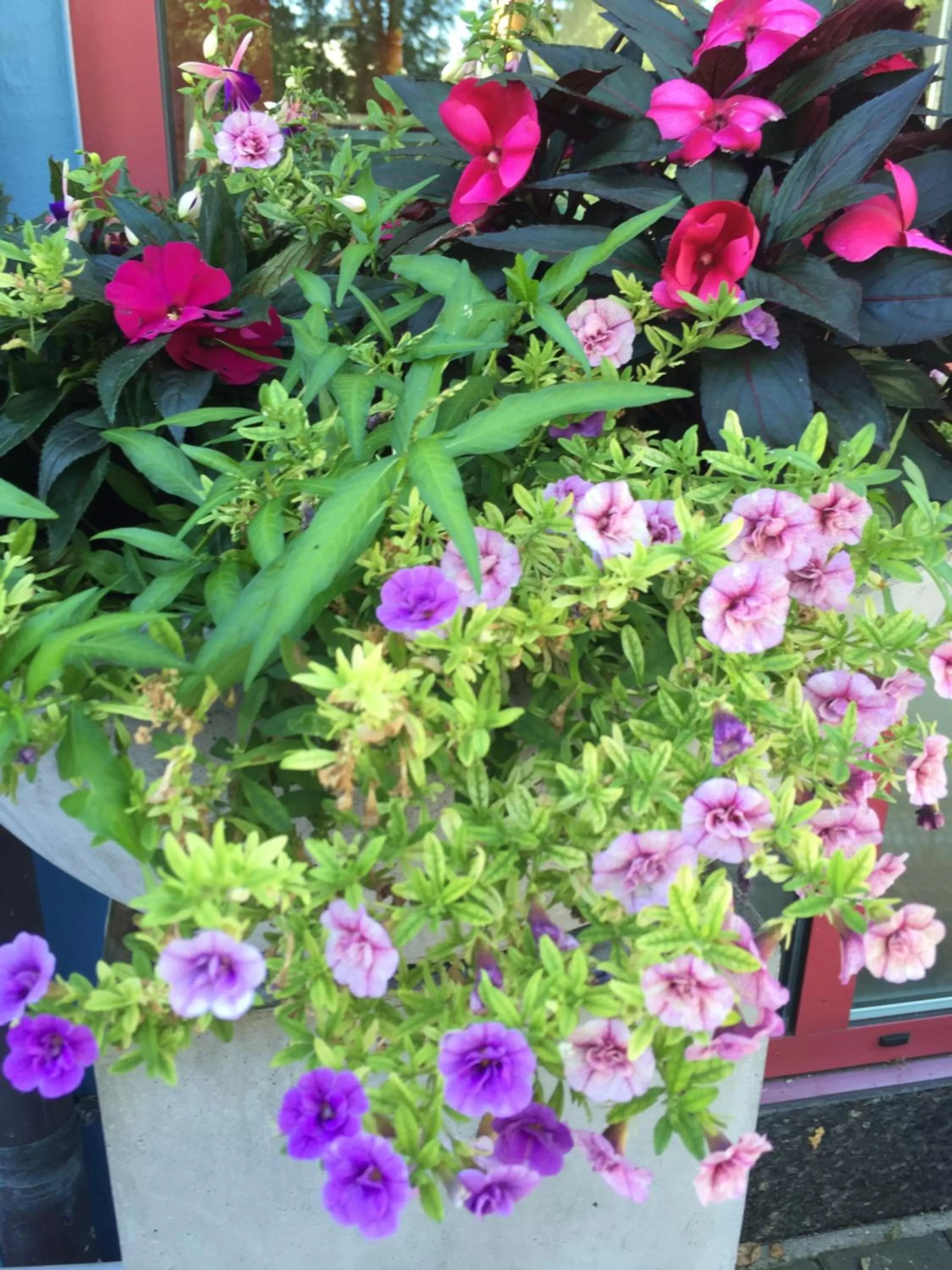 Spring in Arthotel Restaurant Pfeffermühle