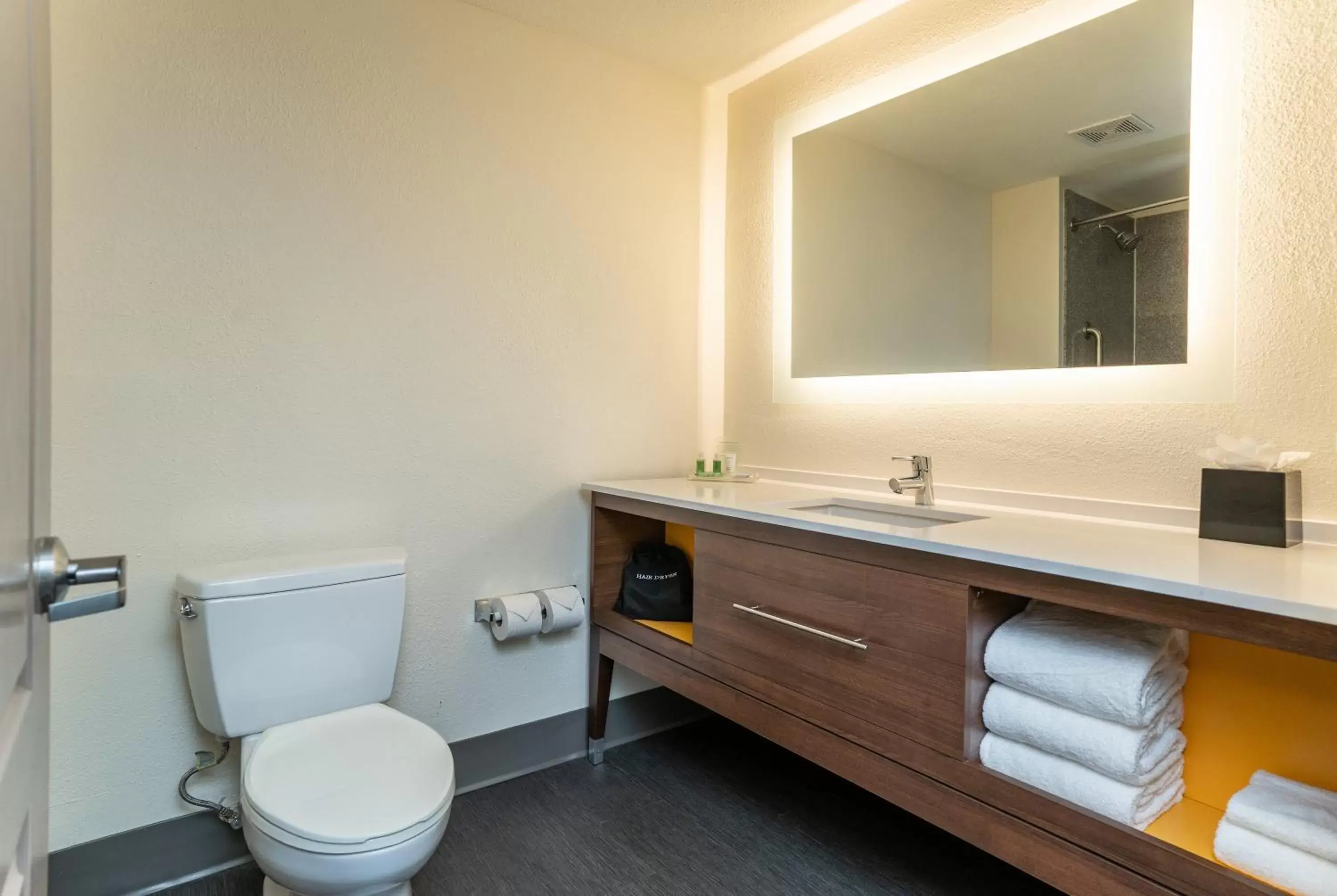 Bathroom in Holiday Inn Hotel & Suites Beaufort at Highway 21, an IHG Hotel