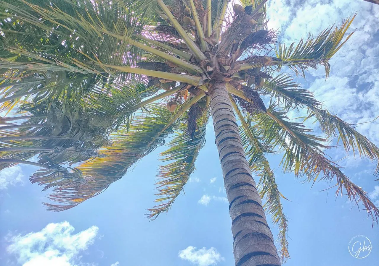 Natural landscape in Grand Bay Suites