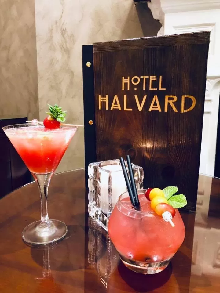 Lounge or bar in Halvard Hotel