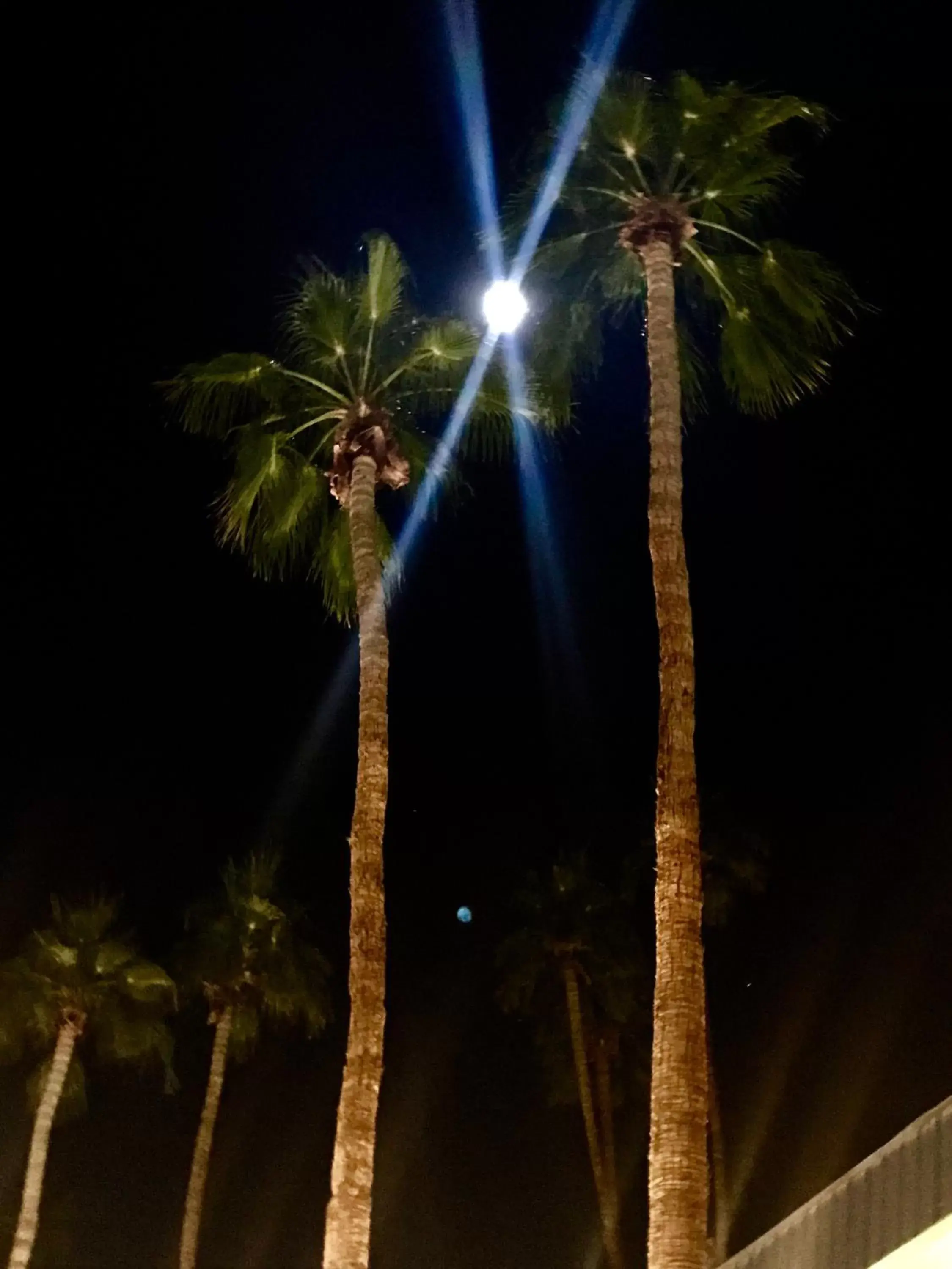 Pool view in Delos Reyes Palm Springs