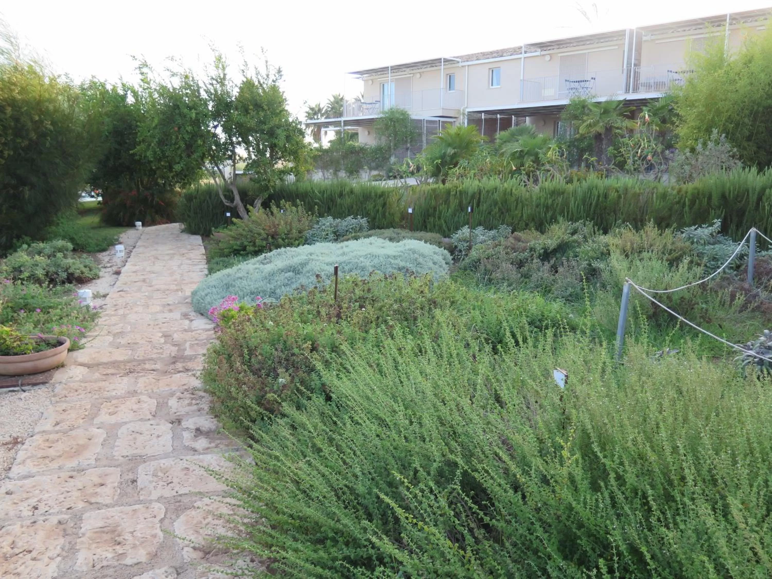 Garden in La Scibina