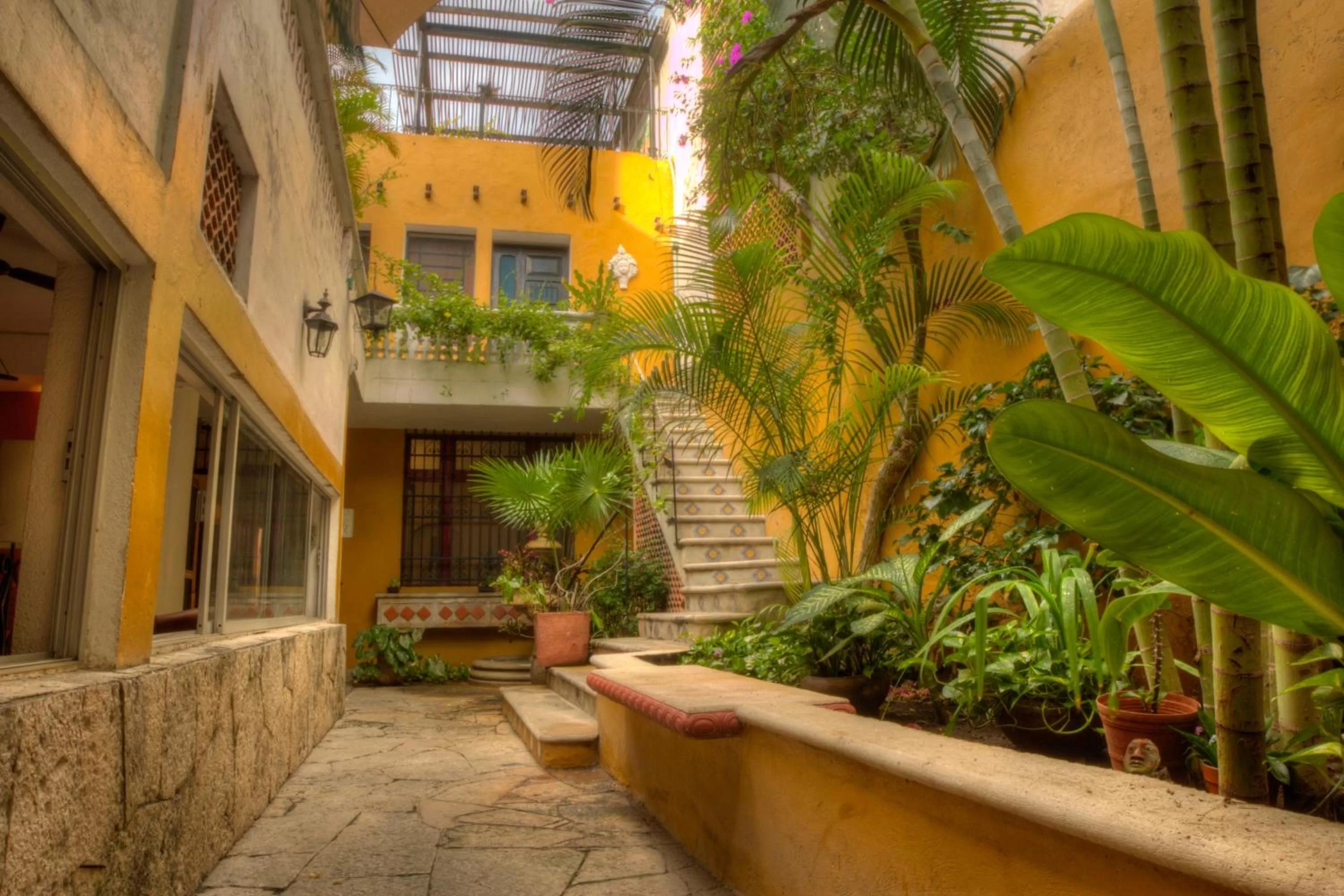 Garden in Hotel Luz en Yucatan