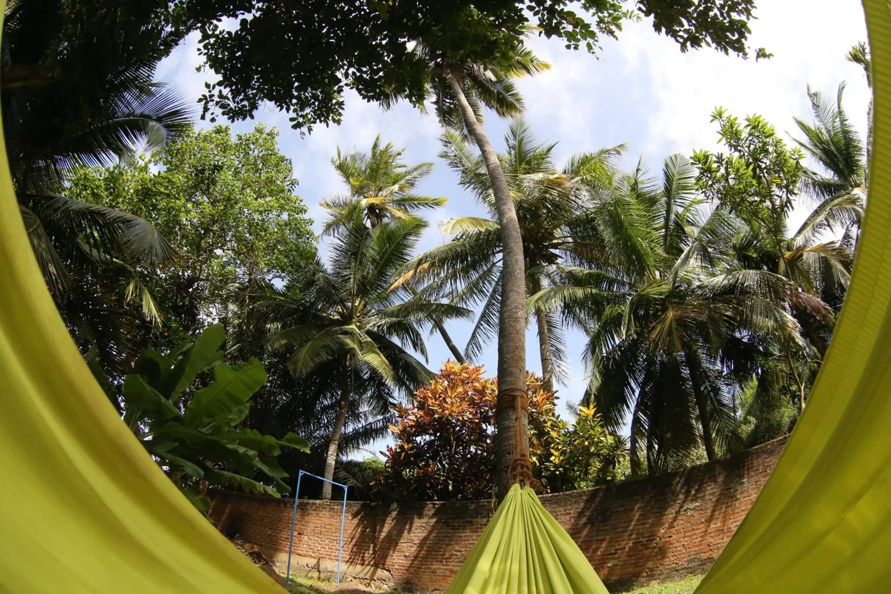 Natural landscape in Hostel First @ Colombo Airport