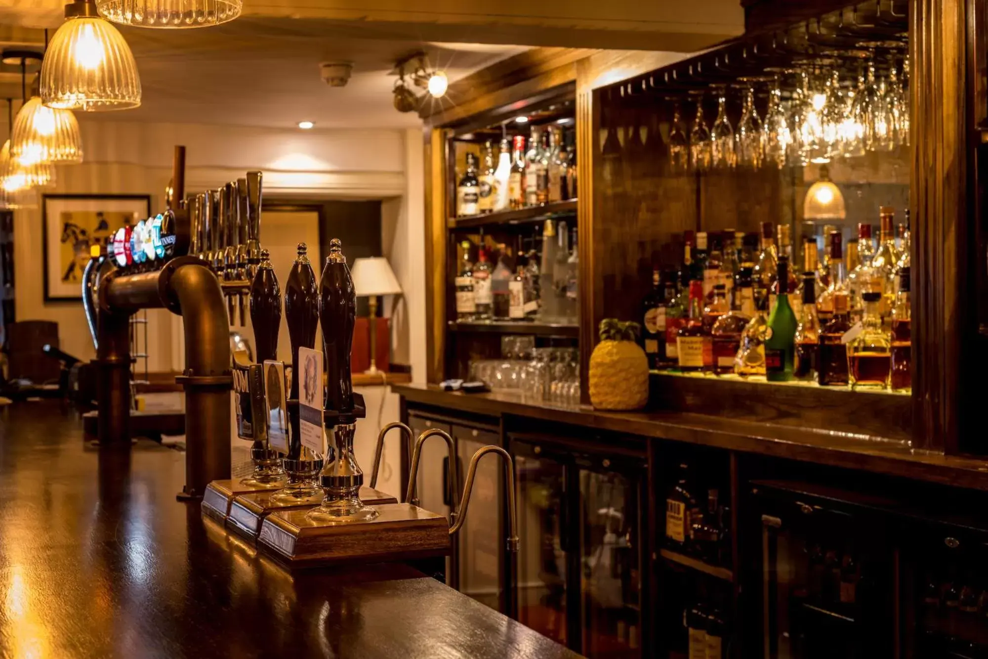 Restaurant/places to eat, Lounge/Bar in The Queen's Arms