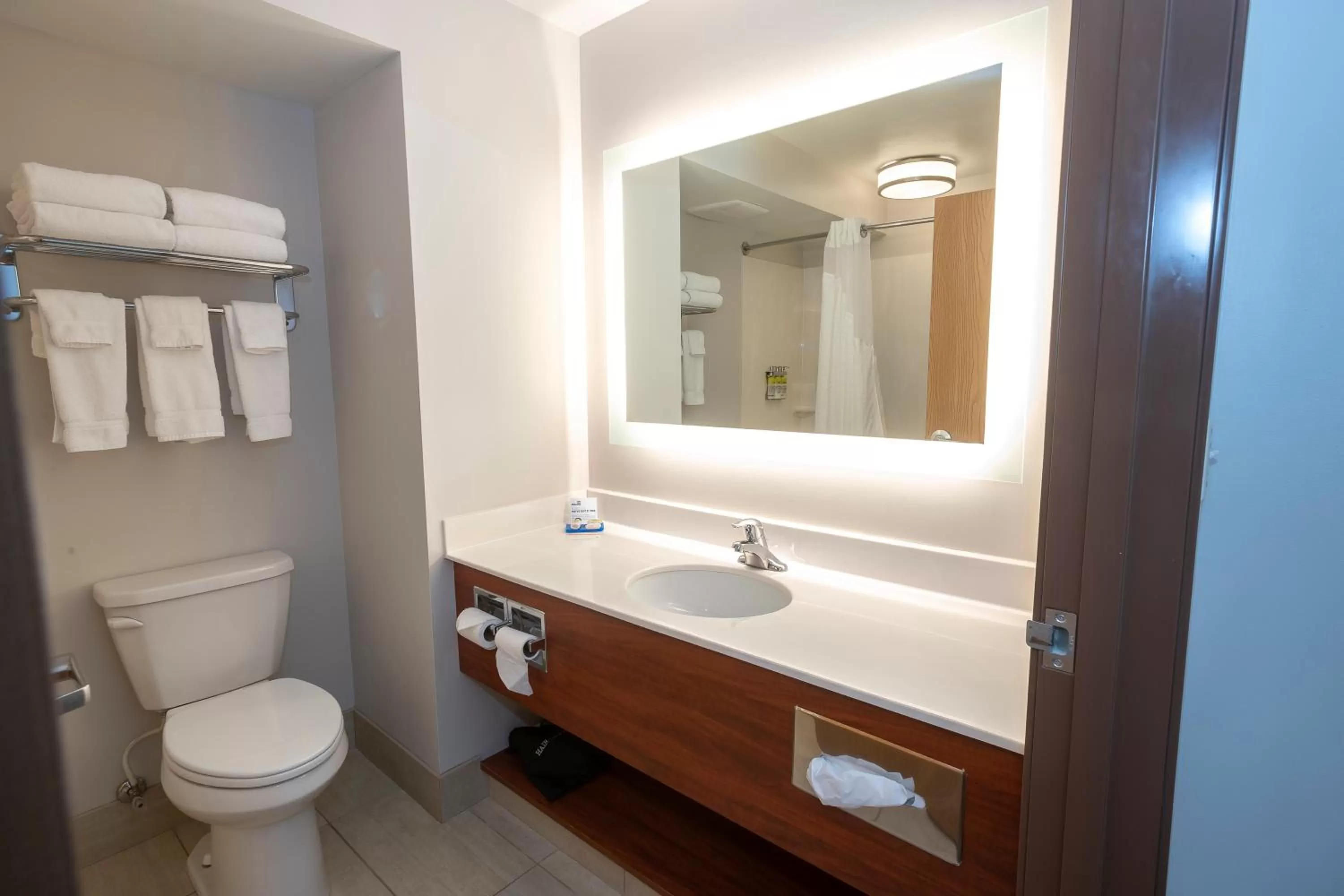 Bathroom in Holiday Inn Express & Suites Iron Mountain by IHG