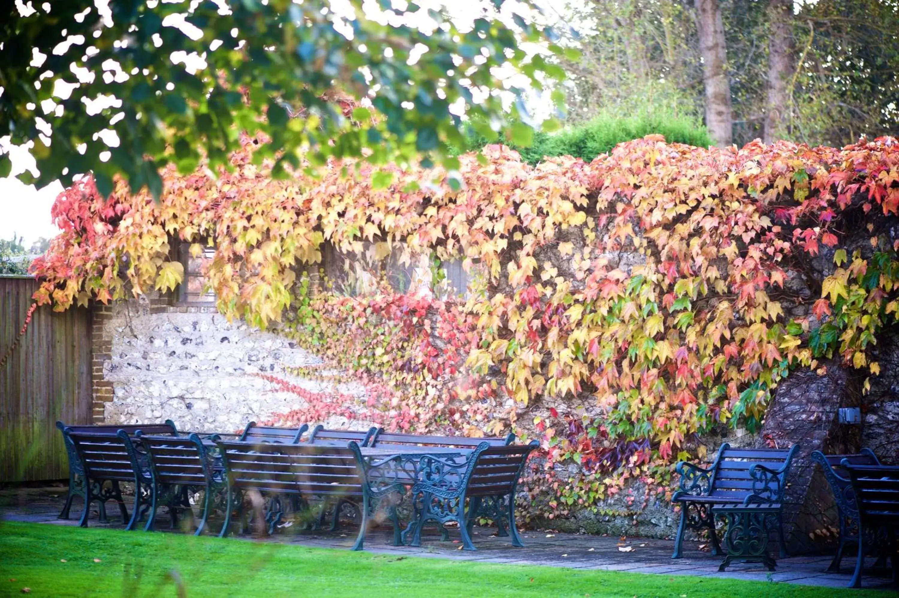 Garden in Deans Place Hotel