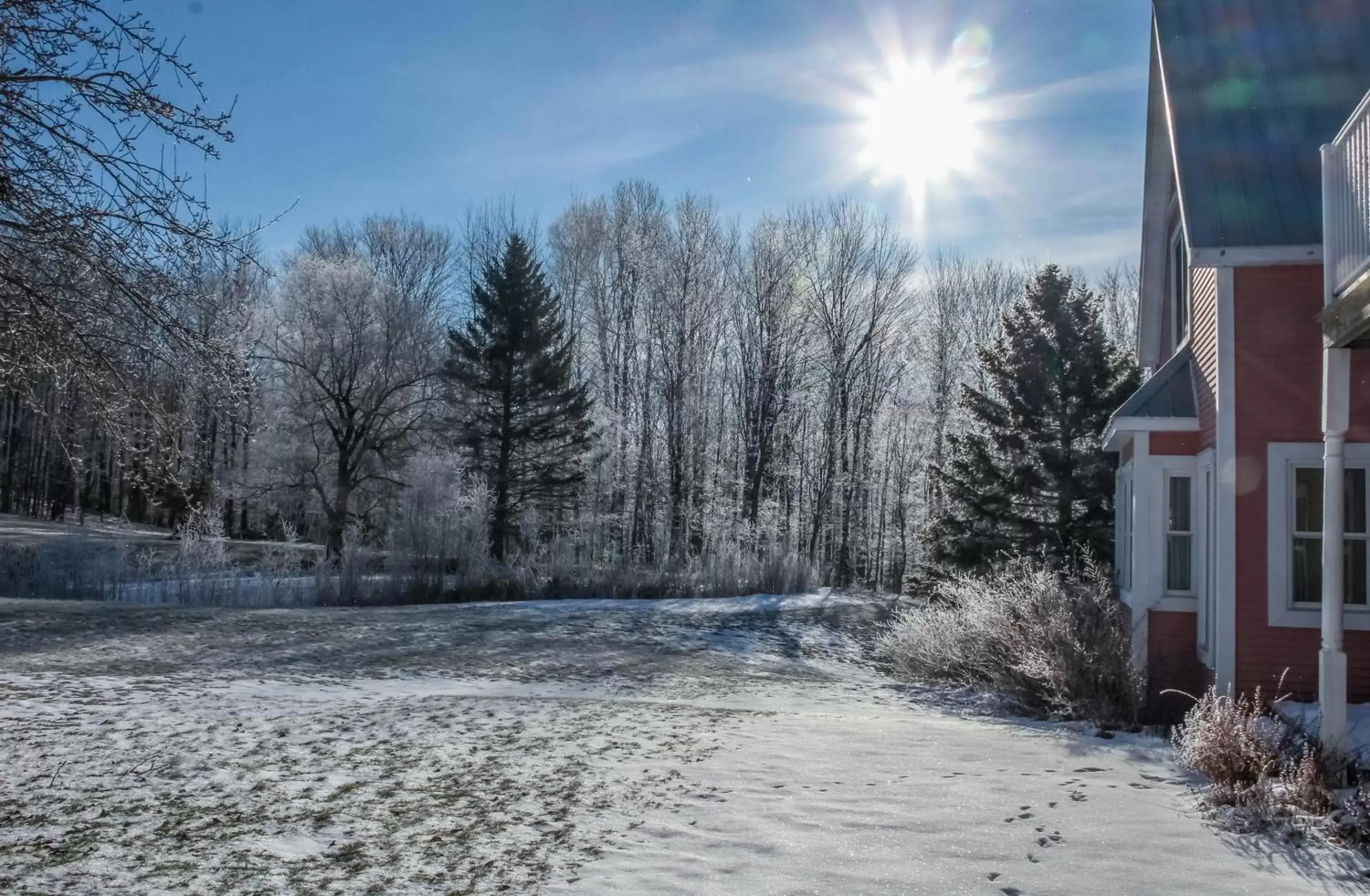 Property building, Winter in Auberge Le Tricorne