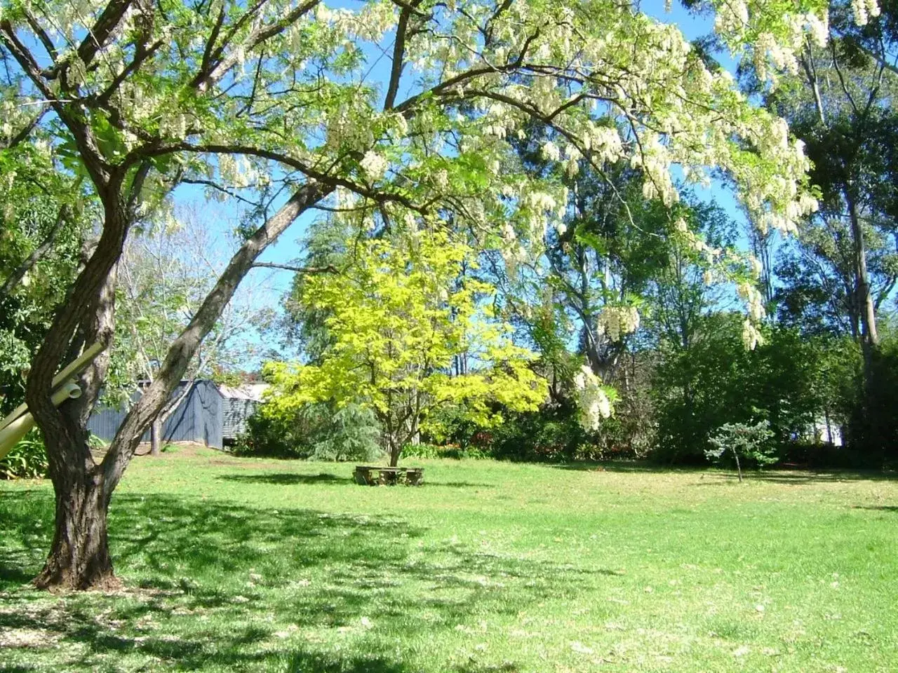 Garden in Hermitage Cottage