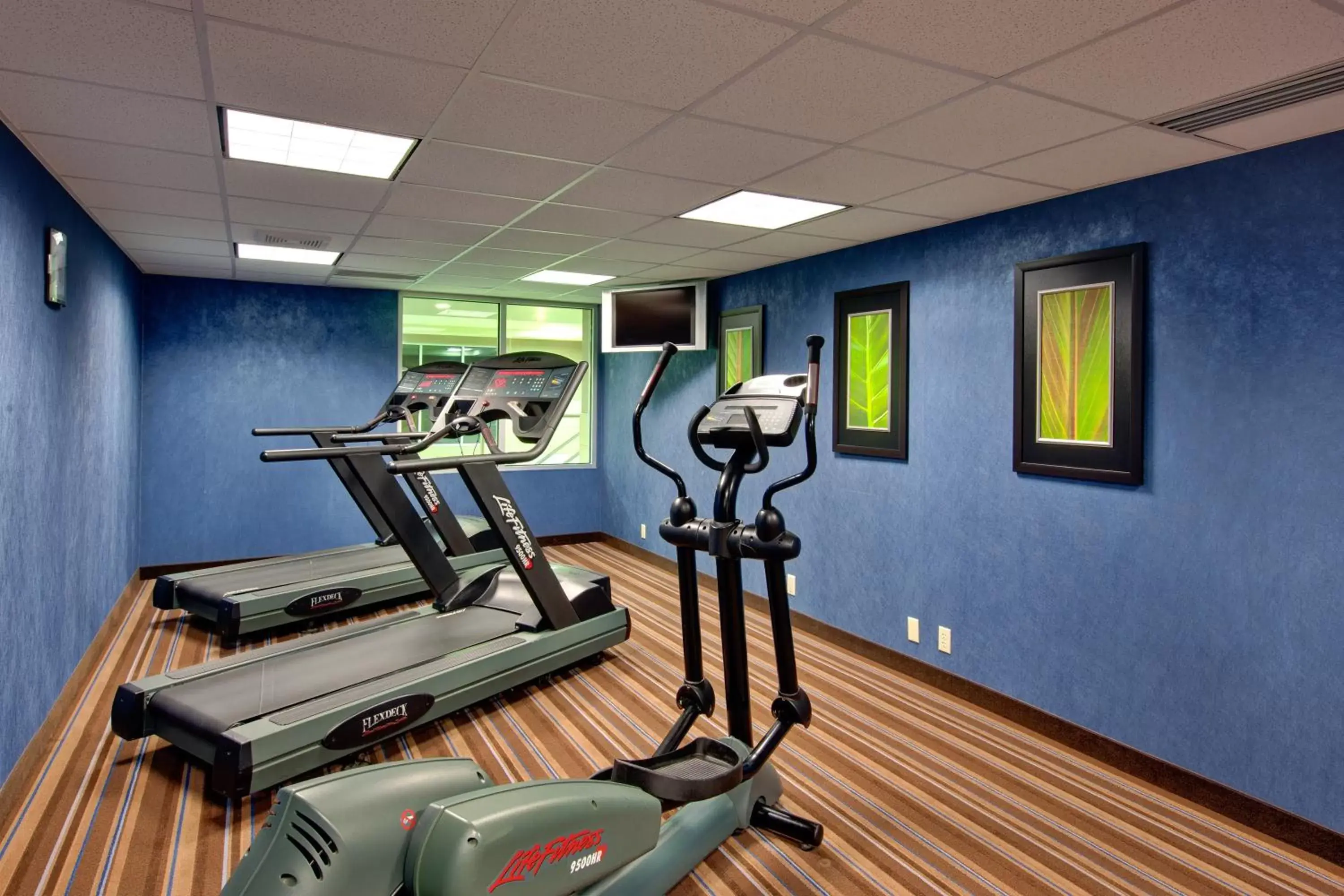 Fitness centre/facilities, Fitness Center/Facilities in Holiday Inn Express Hotel & Suites Chatham South, an IHG Hotel