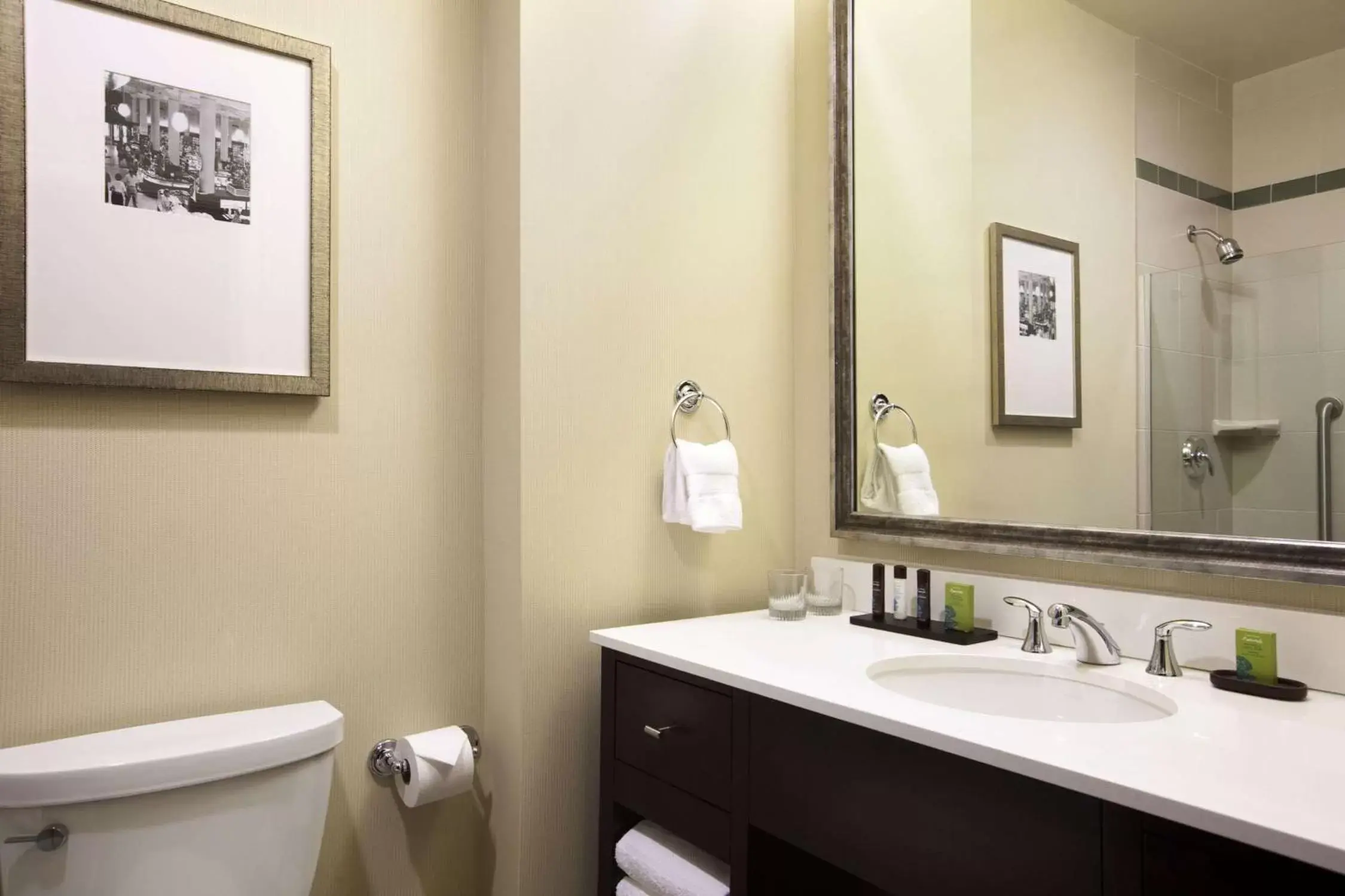 Toilet, Bathroom in Embassy Suites Saint Louis - Downtown