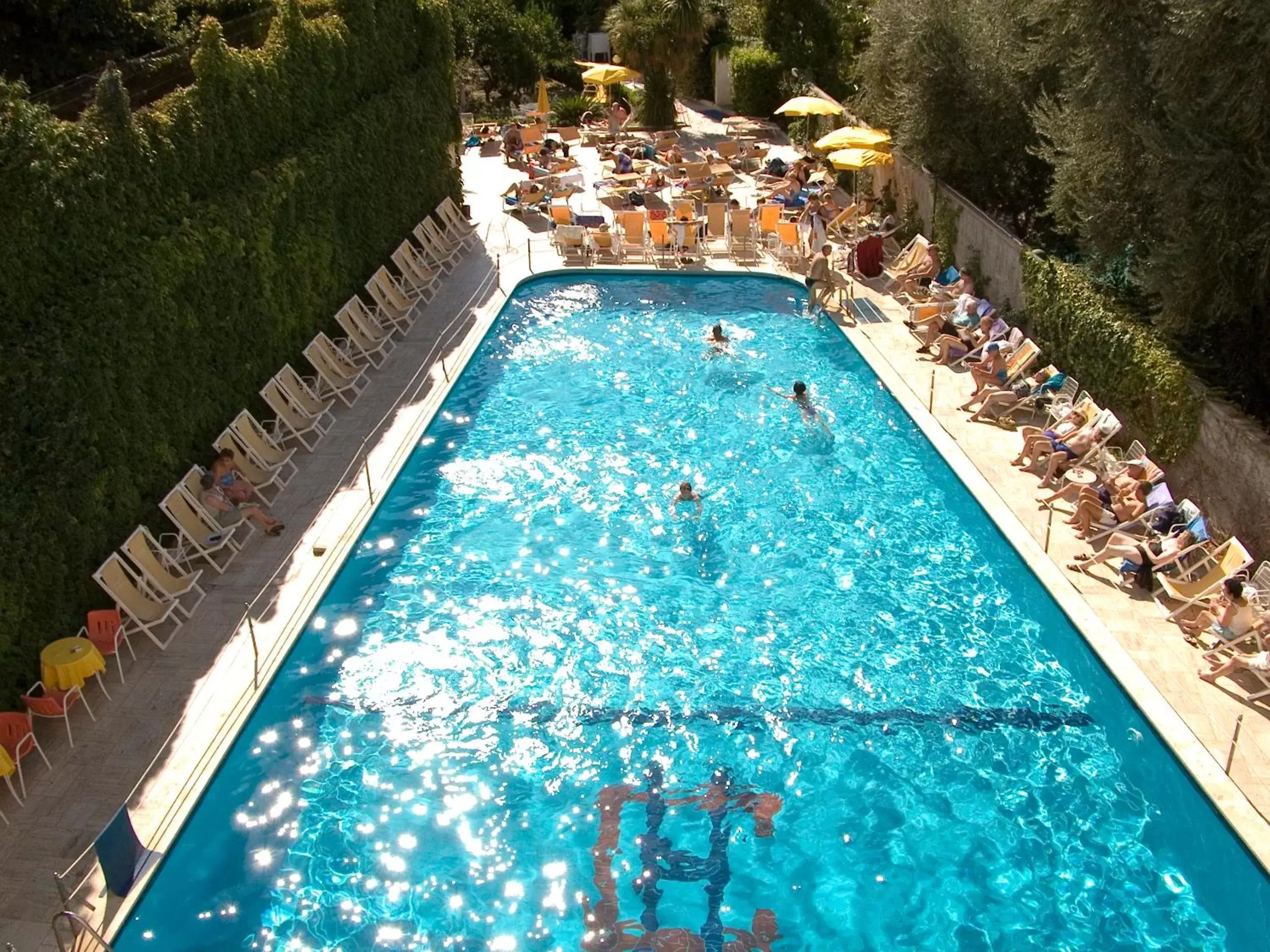 People, Swimming Pool in Hotel Continental