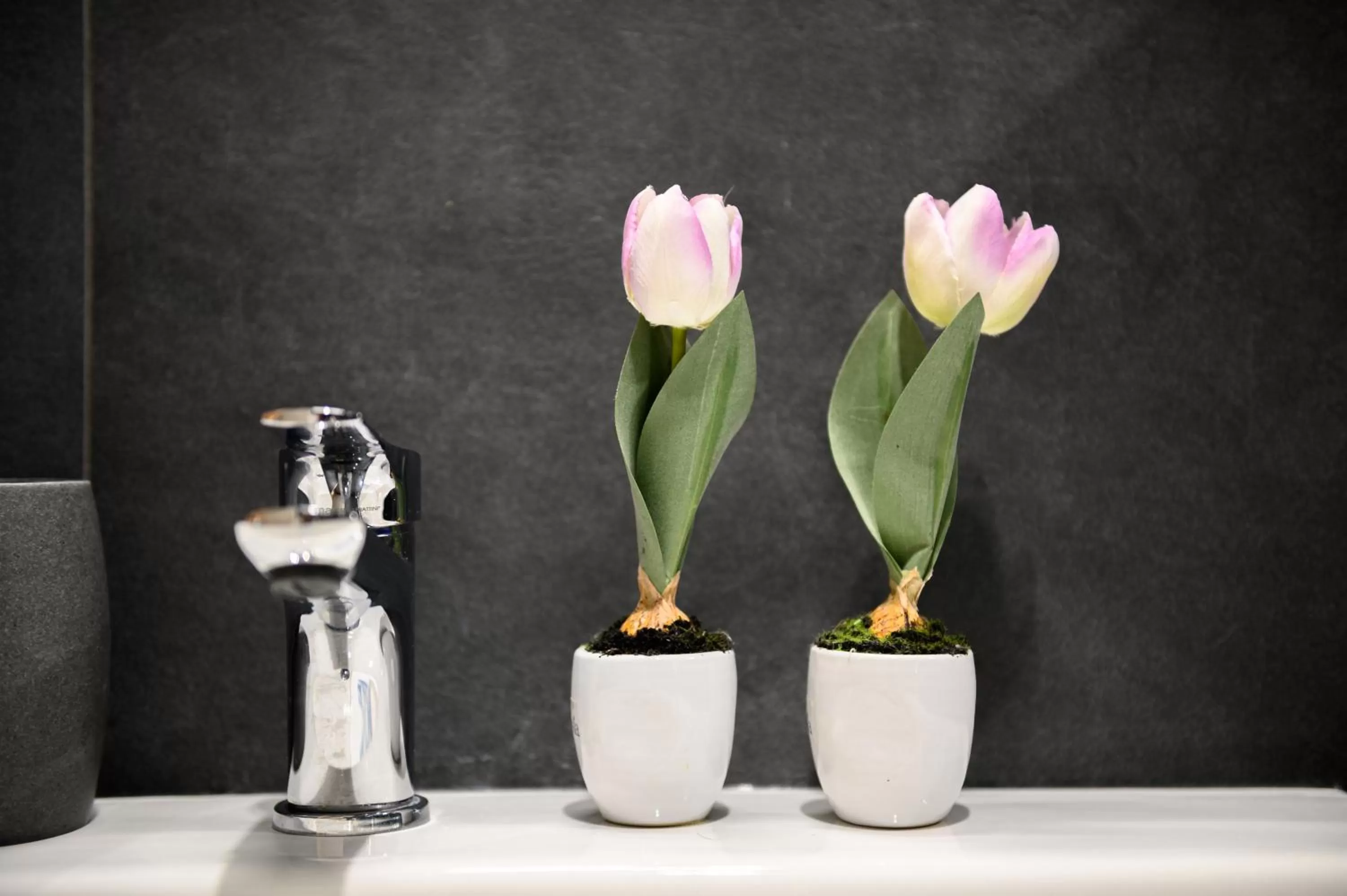 hair dresser in Dream House Pompei