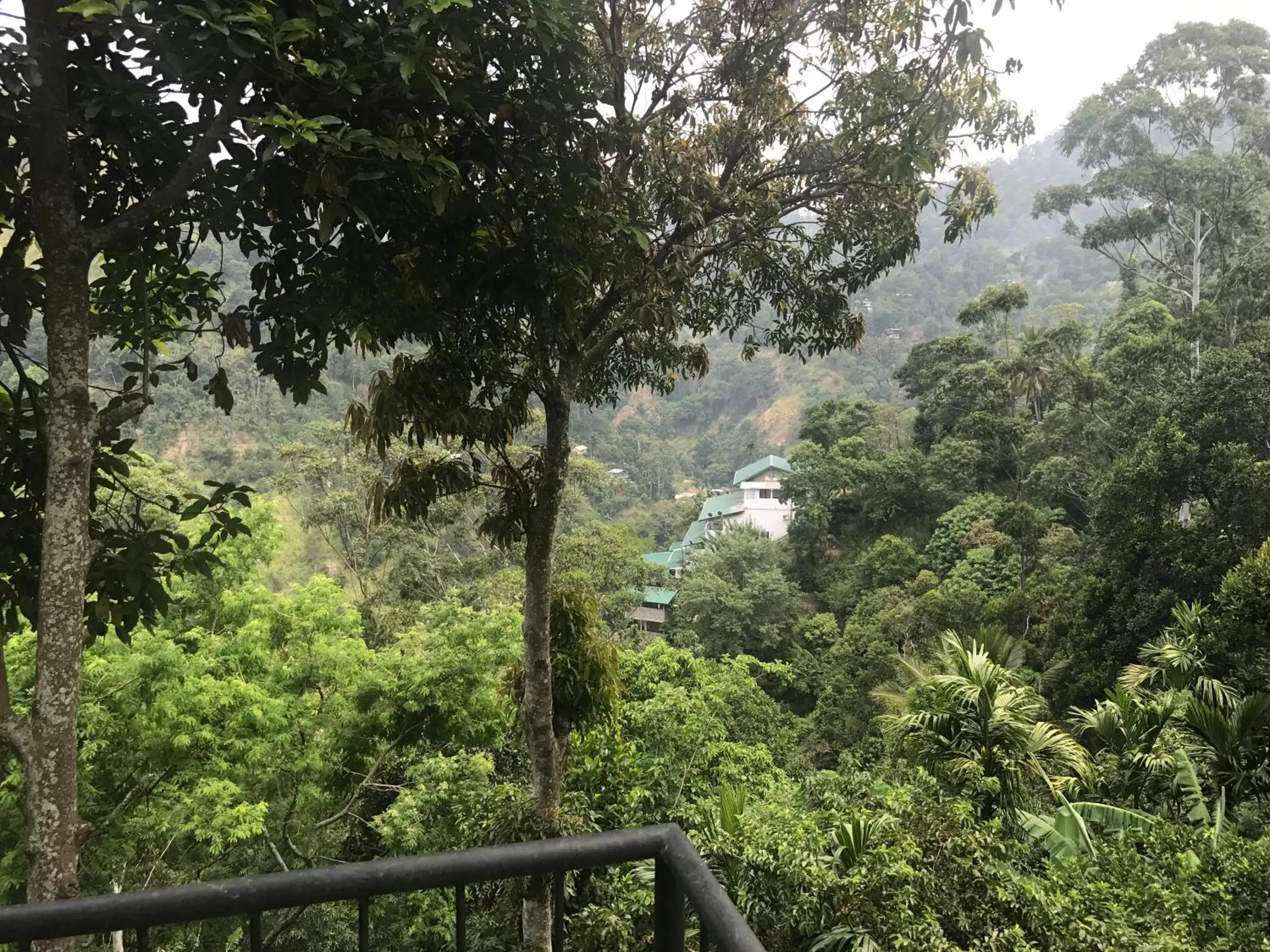 Mountain view in Raveena Guest House