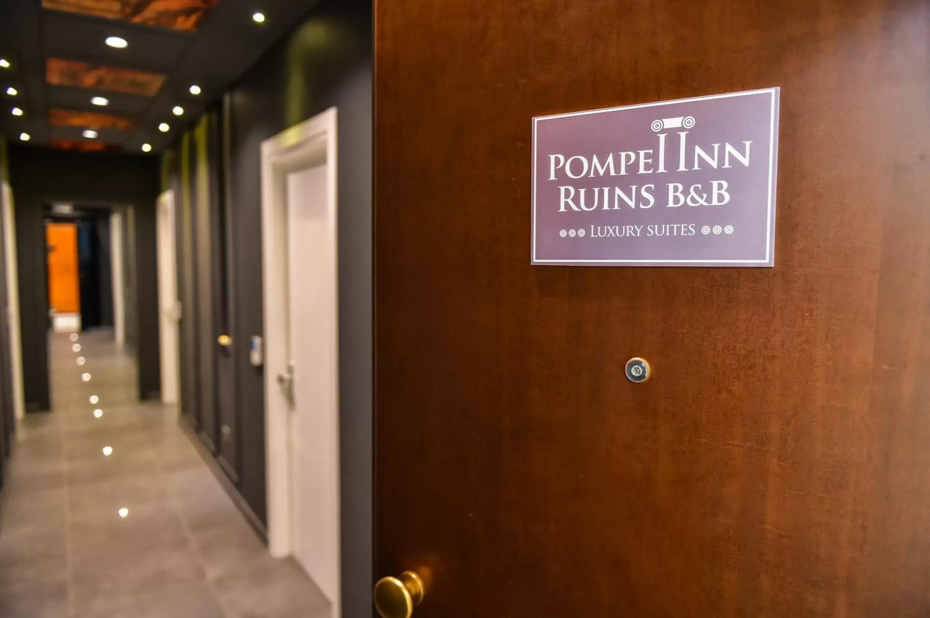 Pompei Inn Ruins B&B Luxury Suite