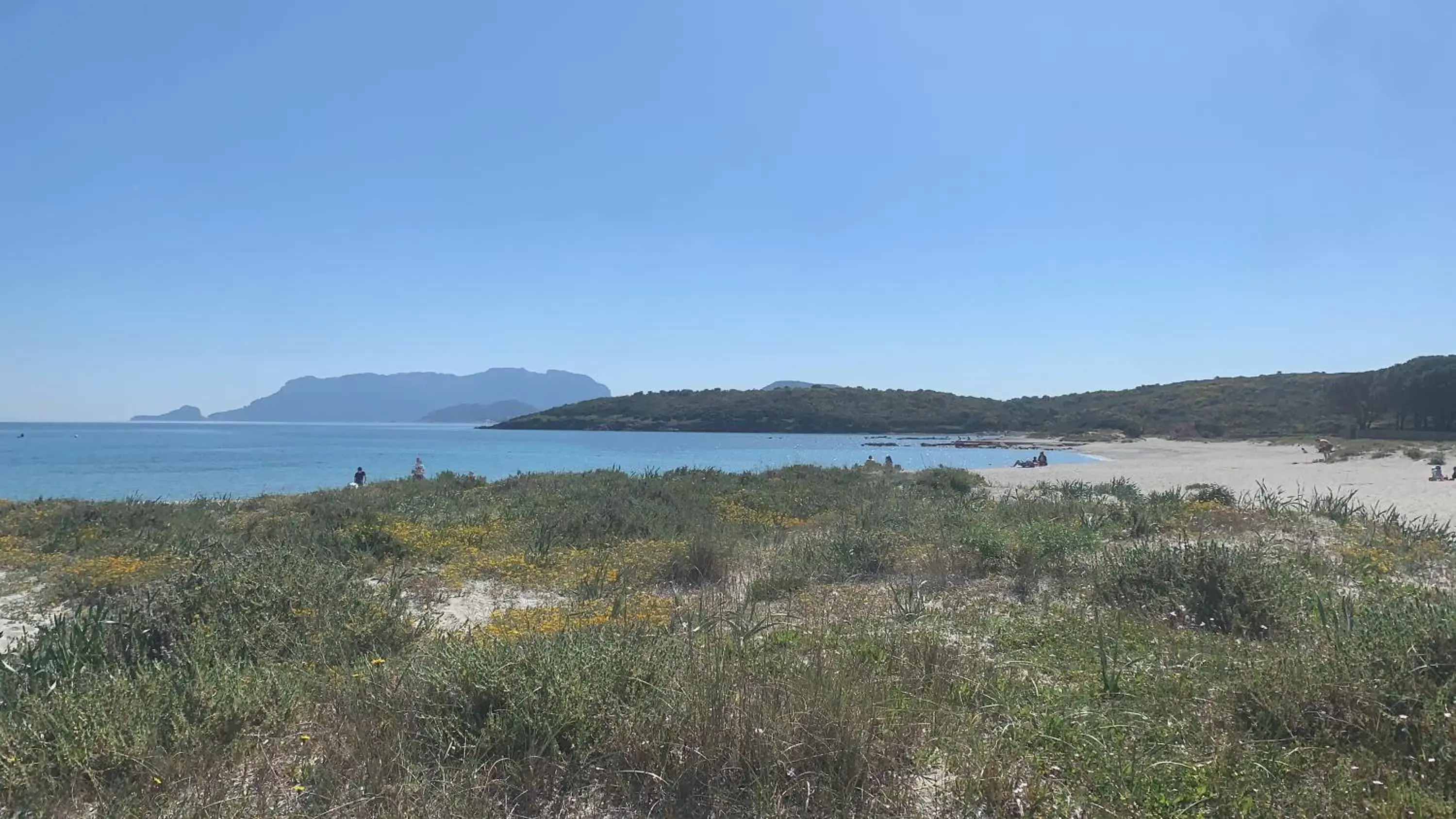 Beach in Domus de Diana