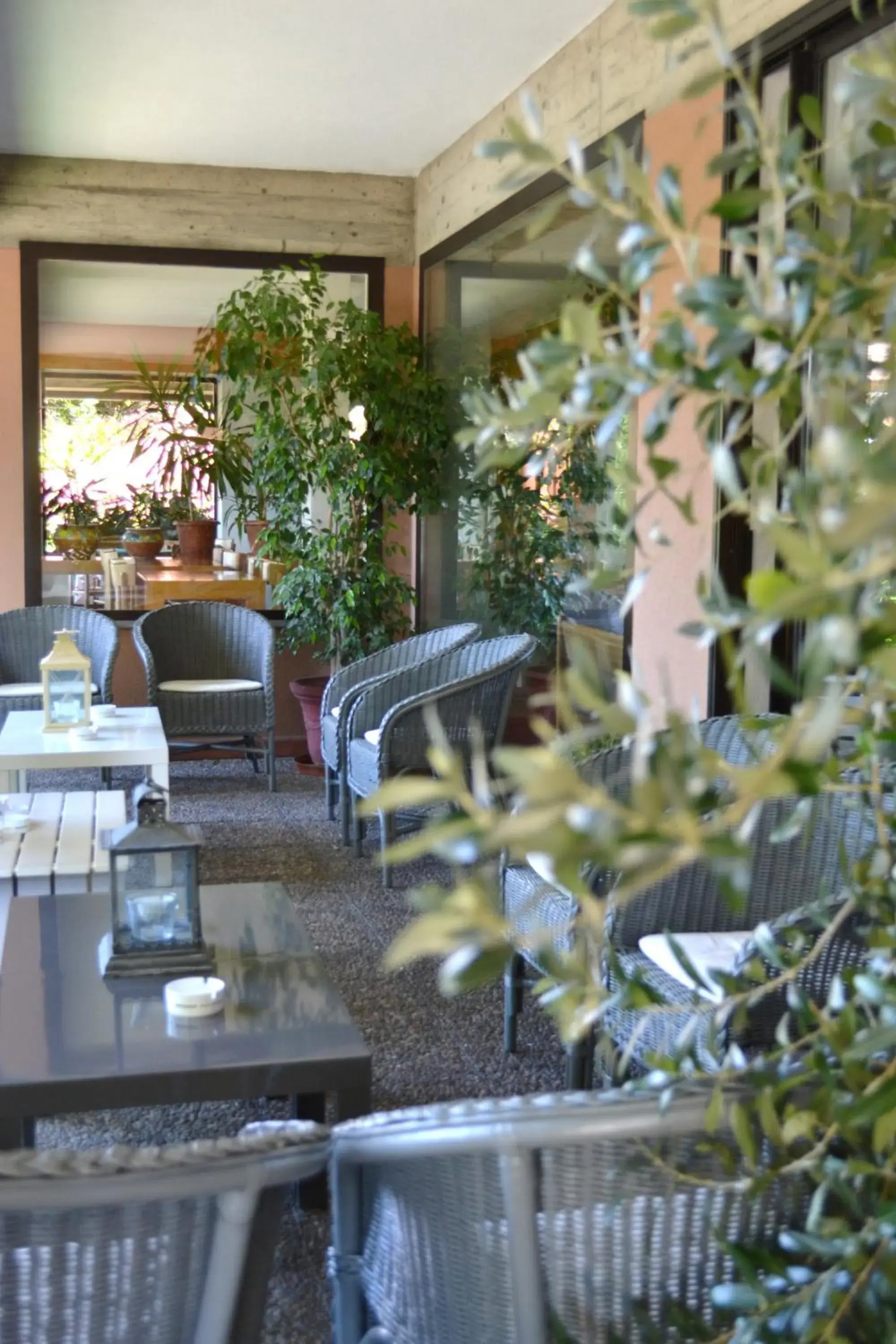 Patio, Restaurant/Places to Eat in Hotel Canturio