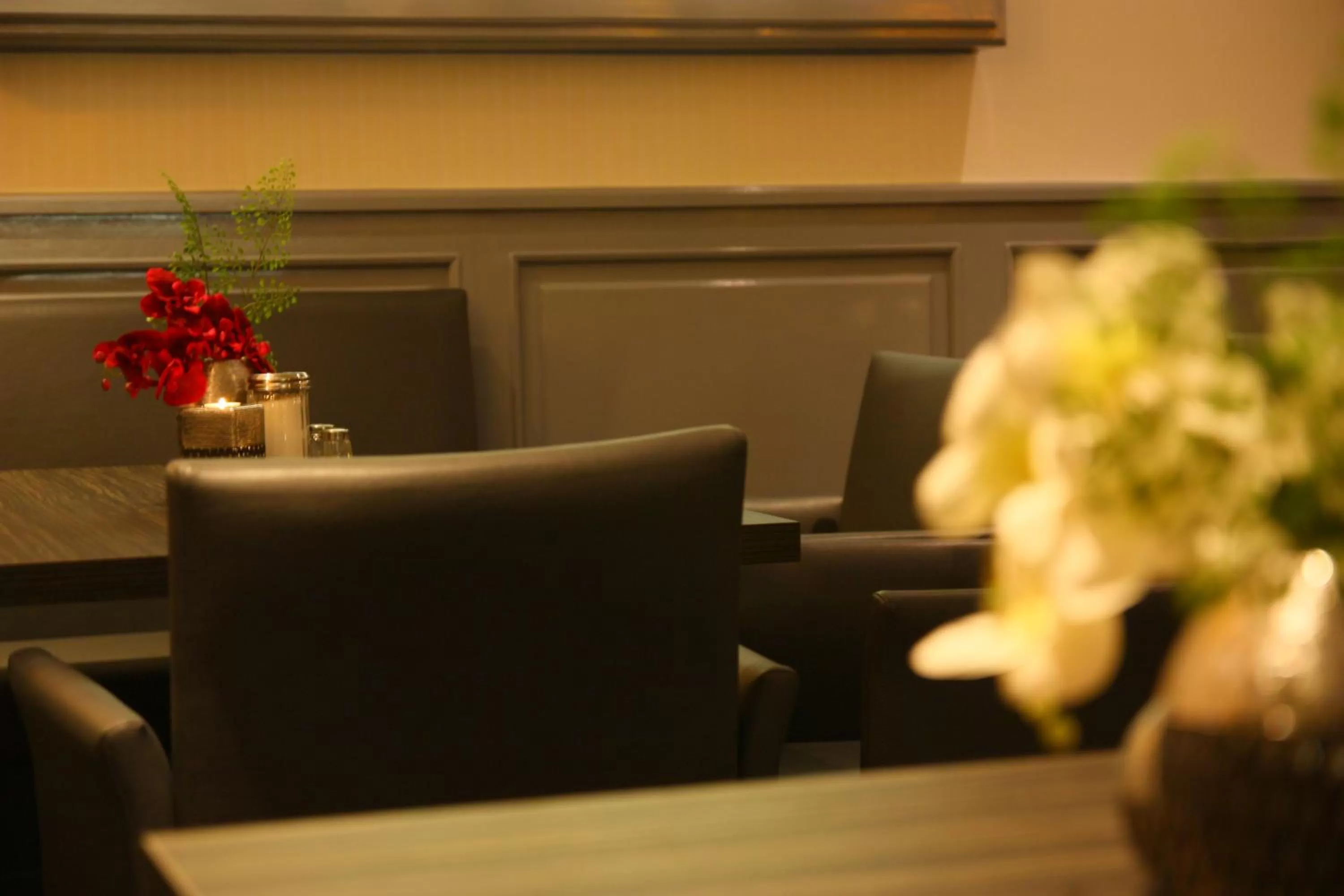 Restaurant/places to eat in Hotel am Schloss