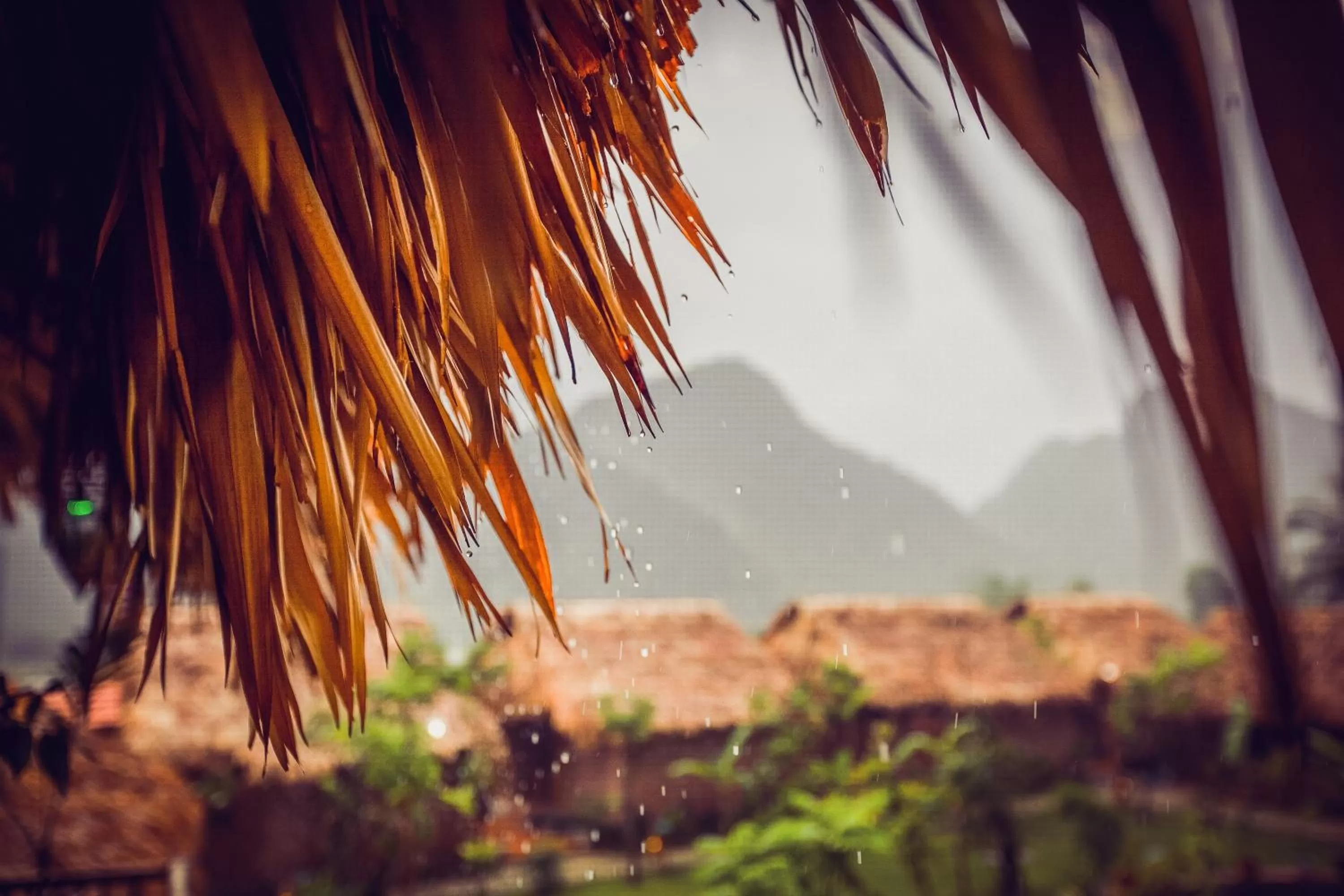 Other in Tam Coc Rice Fields Resort