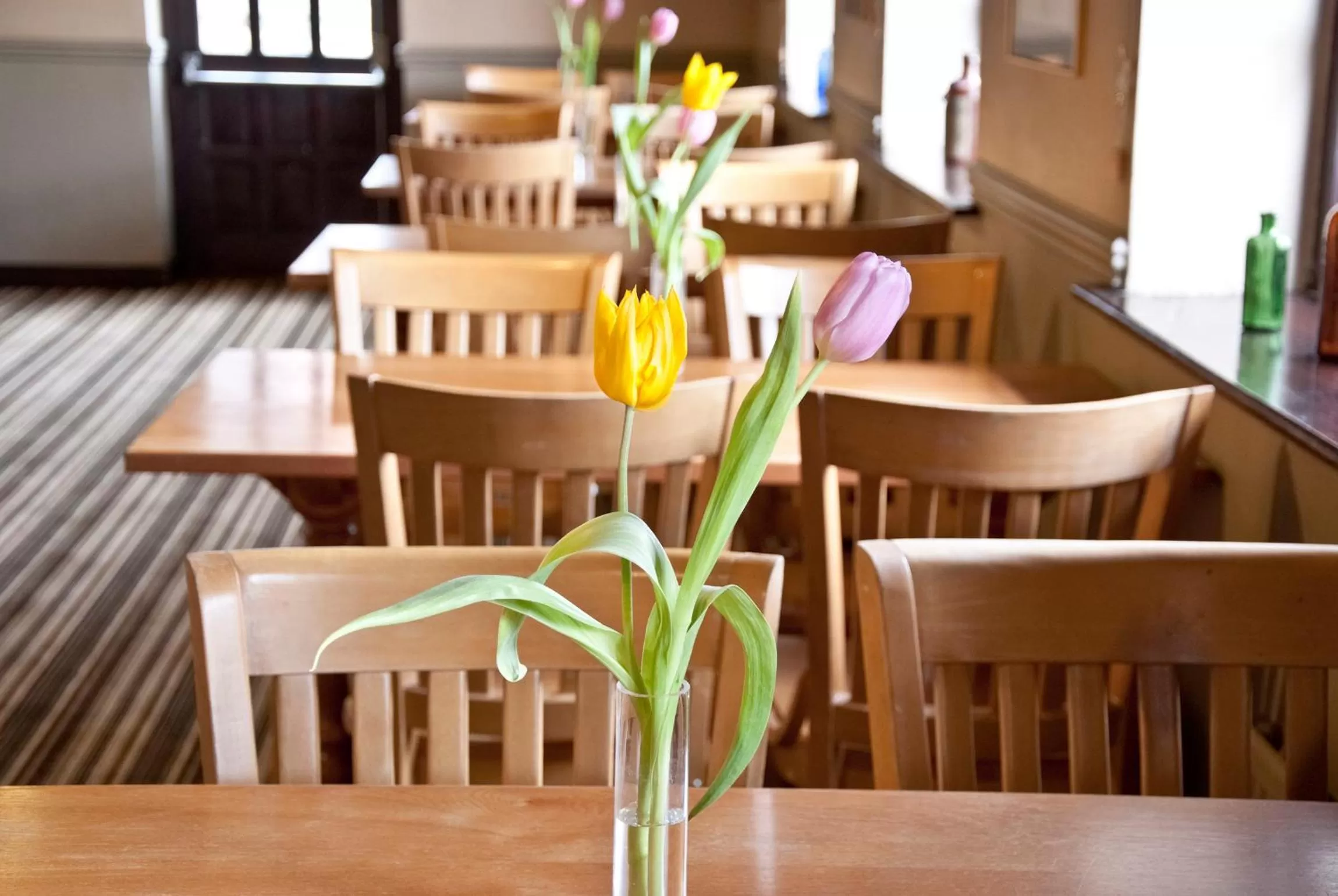 Lounge or bar, Restaurant/Places to Eat in Tricky's Hotel