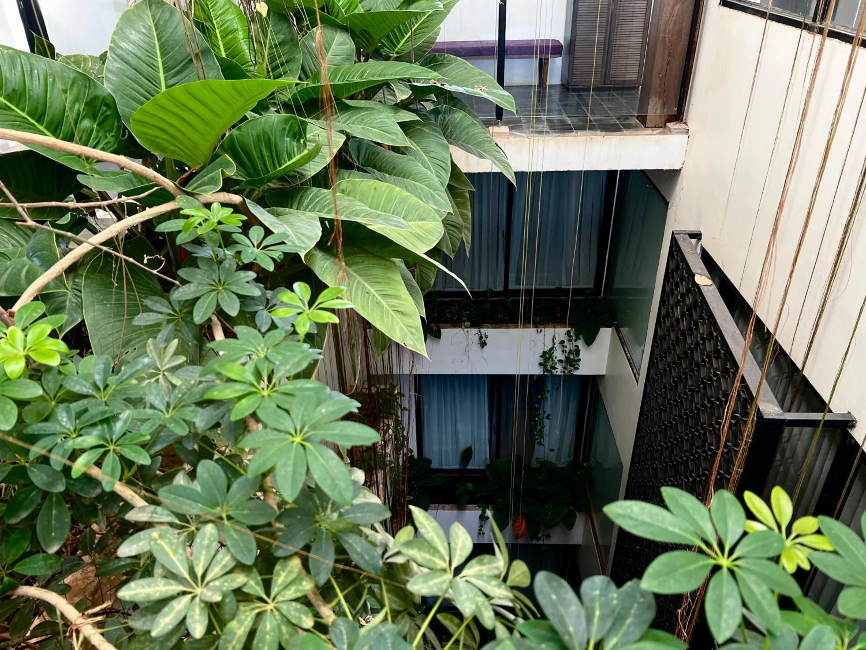 Garden in HARI Residence & Spa