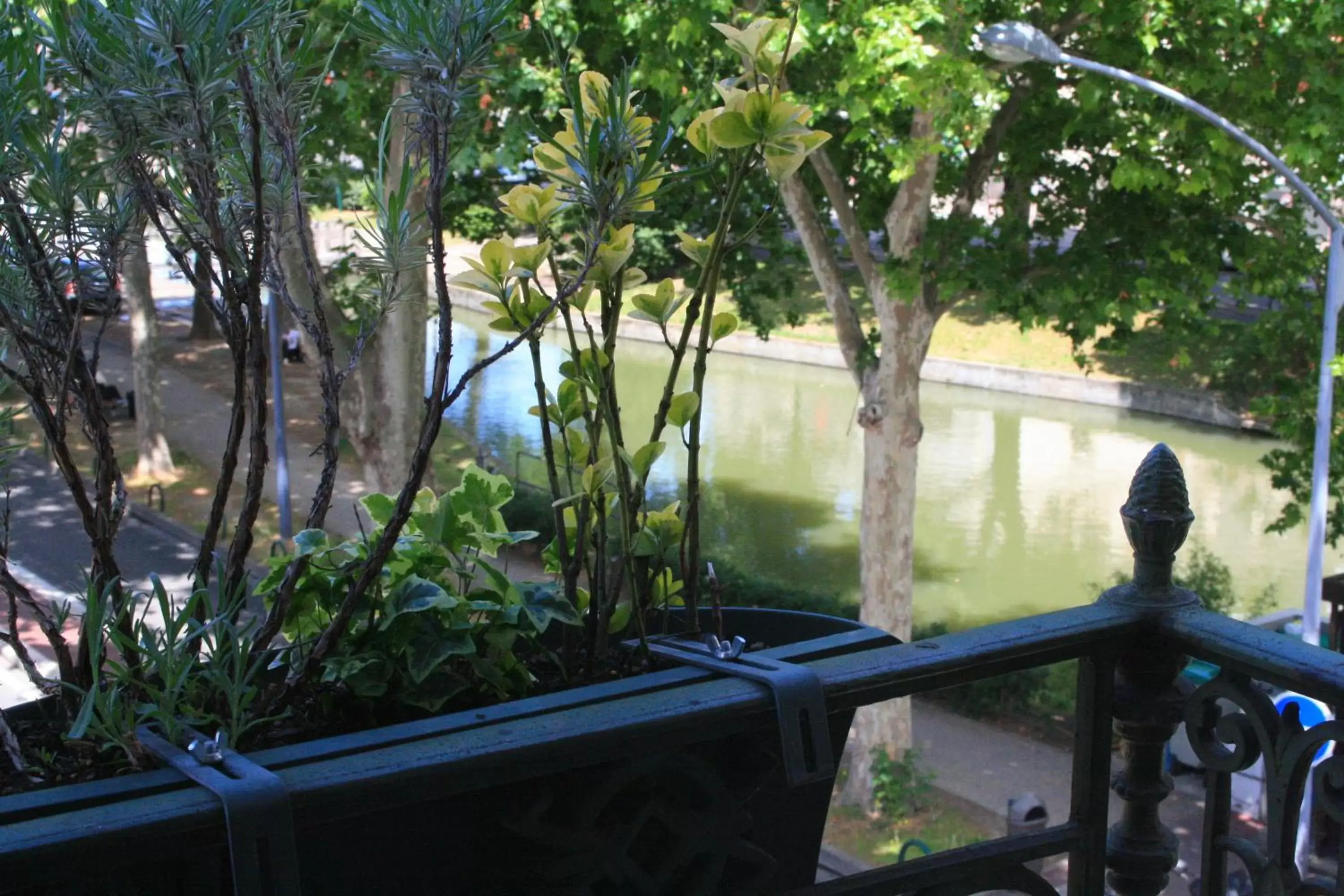 Garden view in Hotel de Bordeaux